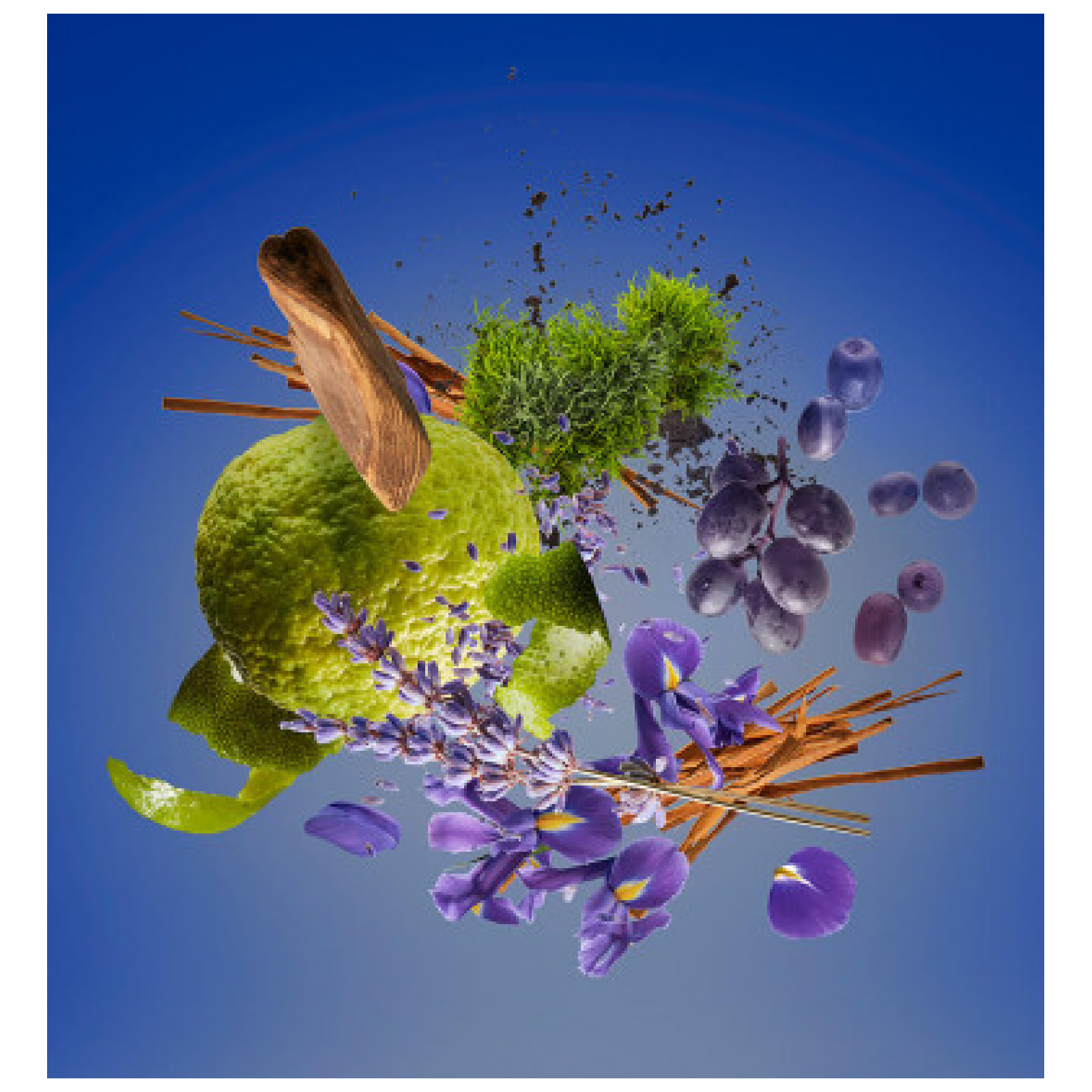 Xerjoff Casamorati 1888 Mefisto Eau de Parfum for Men