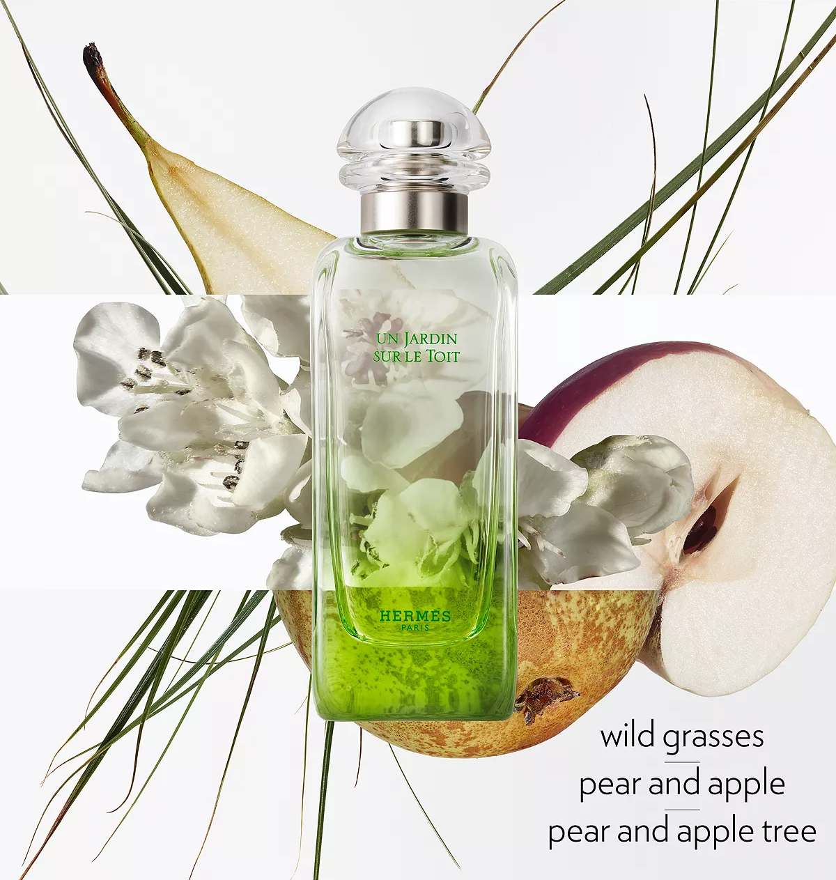 Hermes Un Jardin Sur Le Toit Eau de Toilette for Women