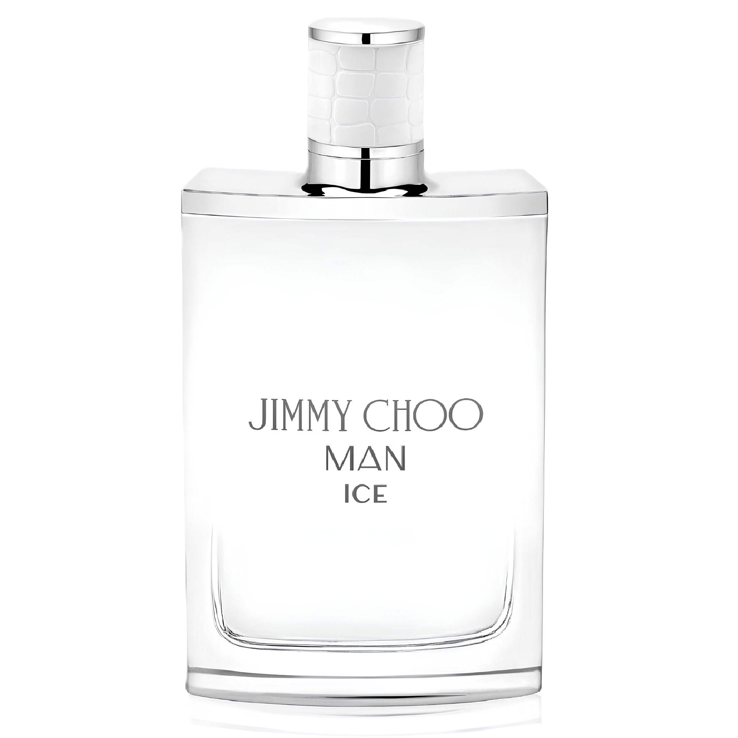 Jimmy Choo Ice Eau de Toilette for Men