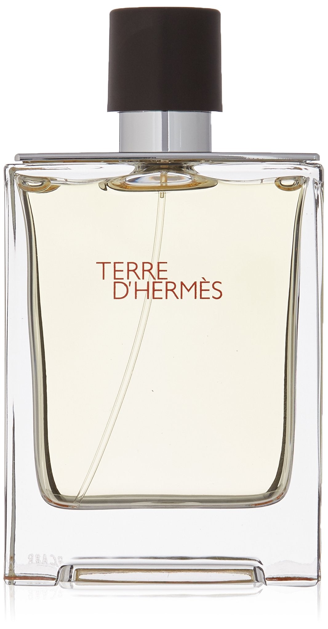Hermes Terre D'hermes Eau de Toilette for Men