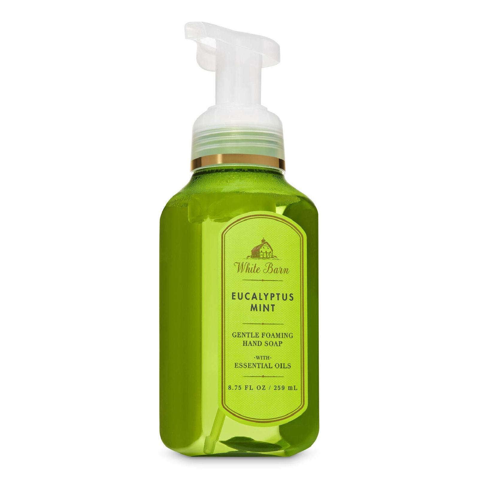 Bath & Body Works White Barn Eucalyptus Mint Gentle Foaming Hand Soap for Everyone