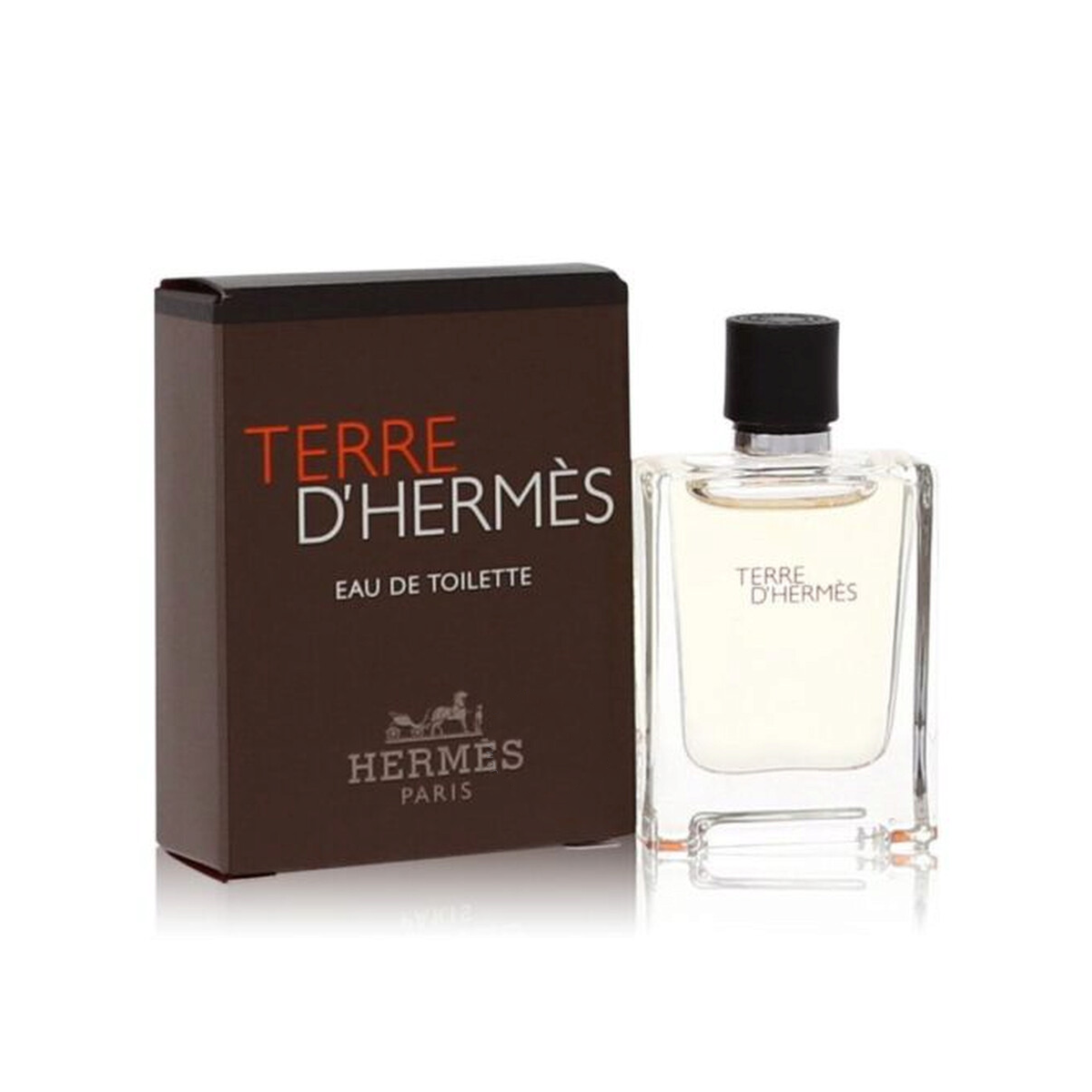 Hermes Terre D'hermes Eau de Toilette for Men