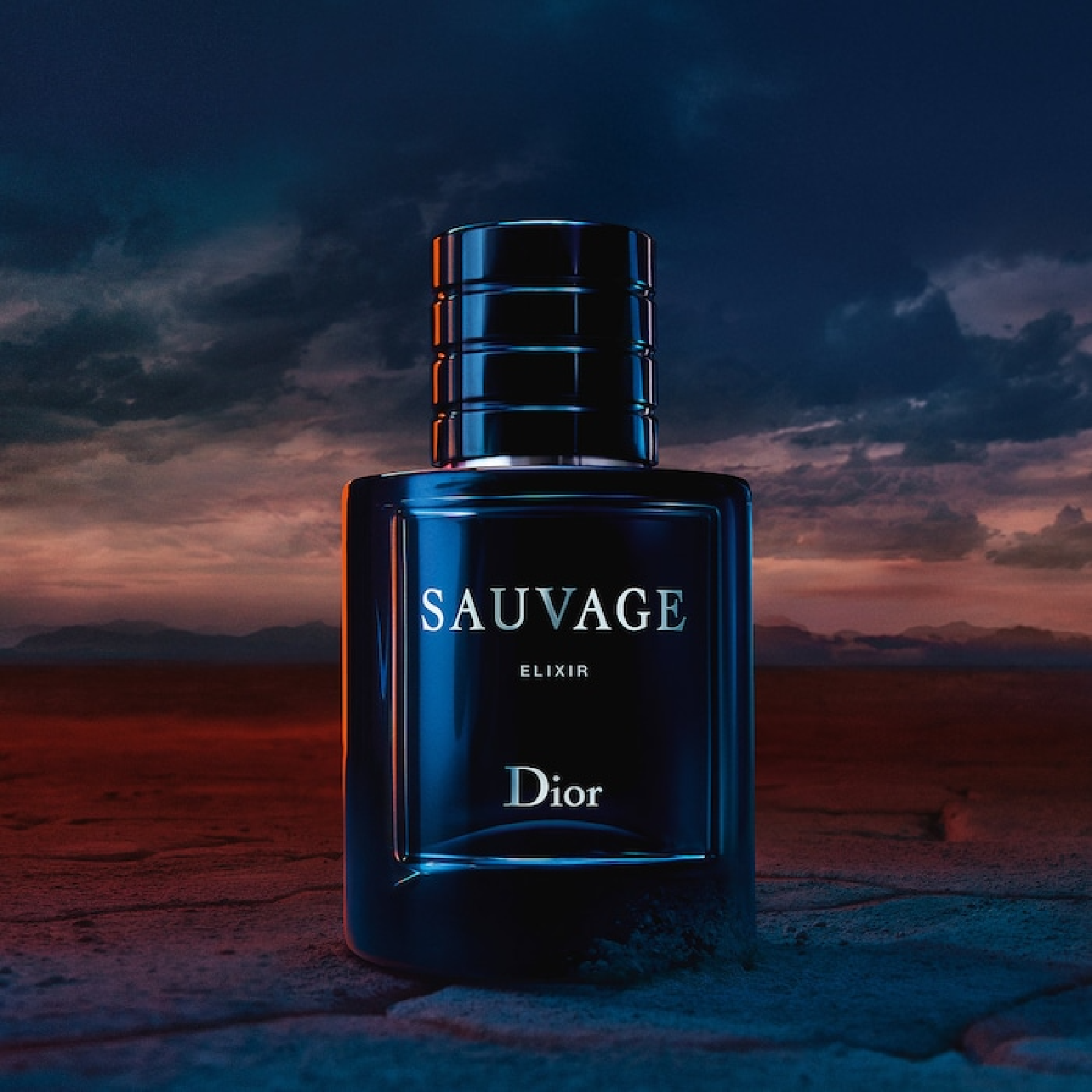 Dior Sauvage Elixir for Men