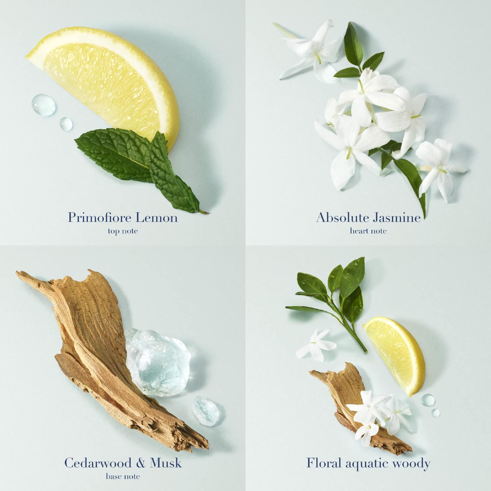 Giorgio Armani Acqua Di Gioia Eau de Parfum for Women