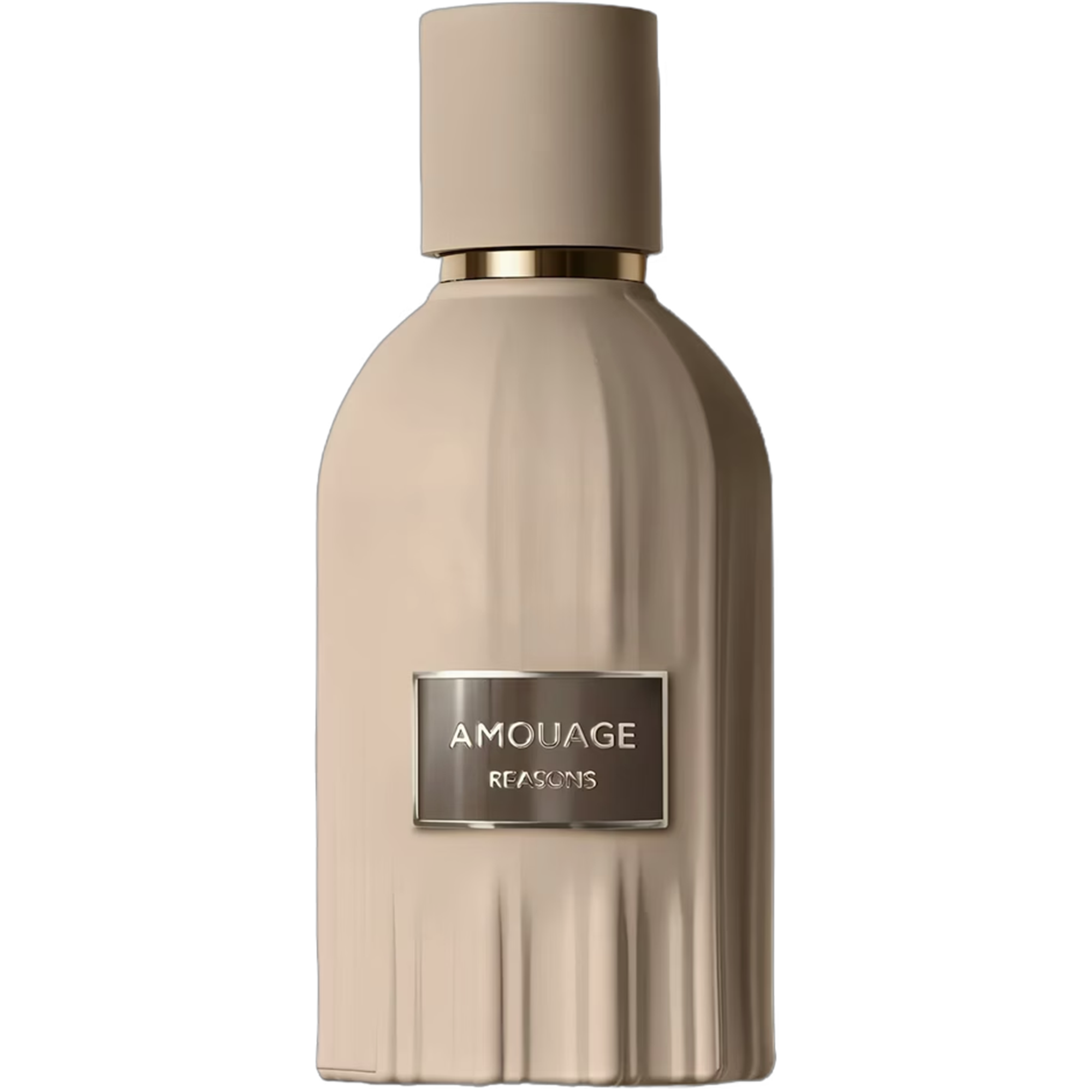 Amouage Reasons Eau de Parfum for Everyone