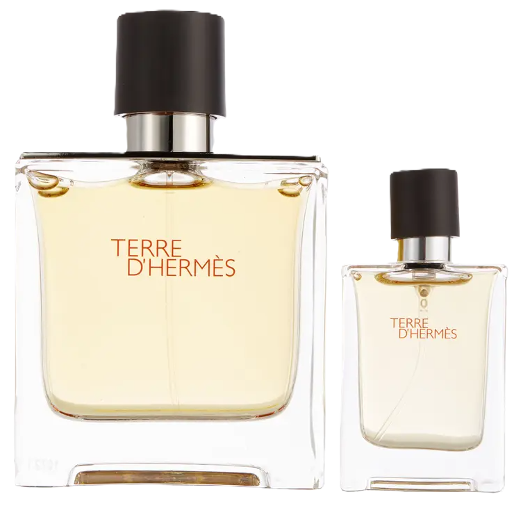 Hermes Terre D'hermes Gift Set for Men