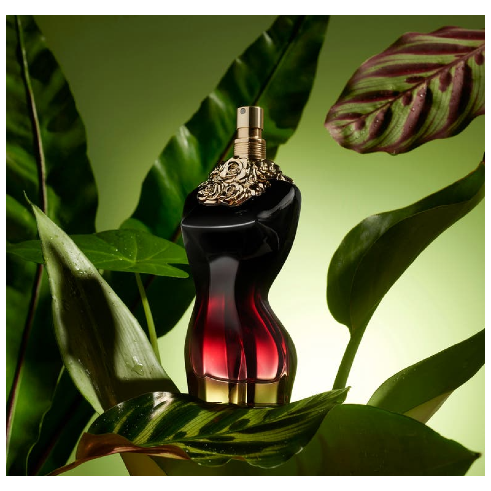 Jean Paul Gaultier La Belle Le Parfum Eau de Parfum for Women