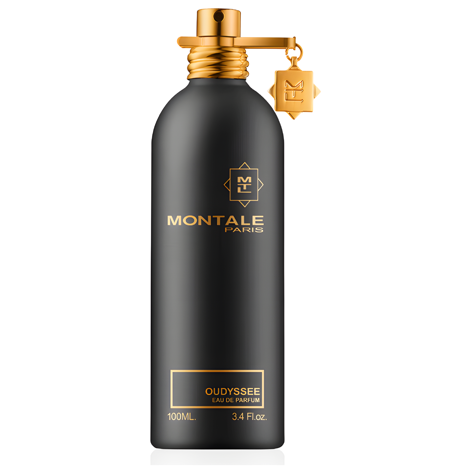 Montale Oudyssee Eau de Parfum for Everyone