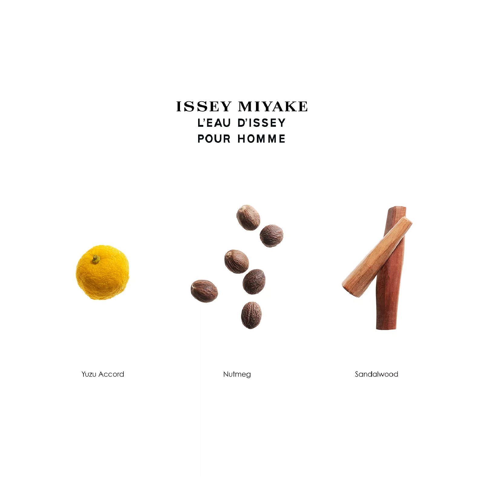 Issey Miyake Leau D Issey Eau de Toilette for Men