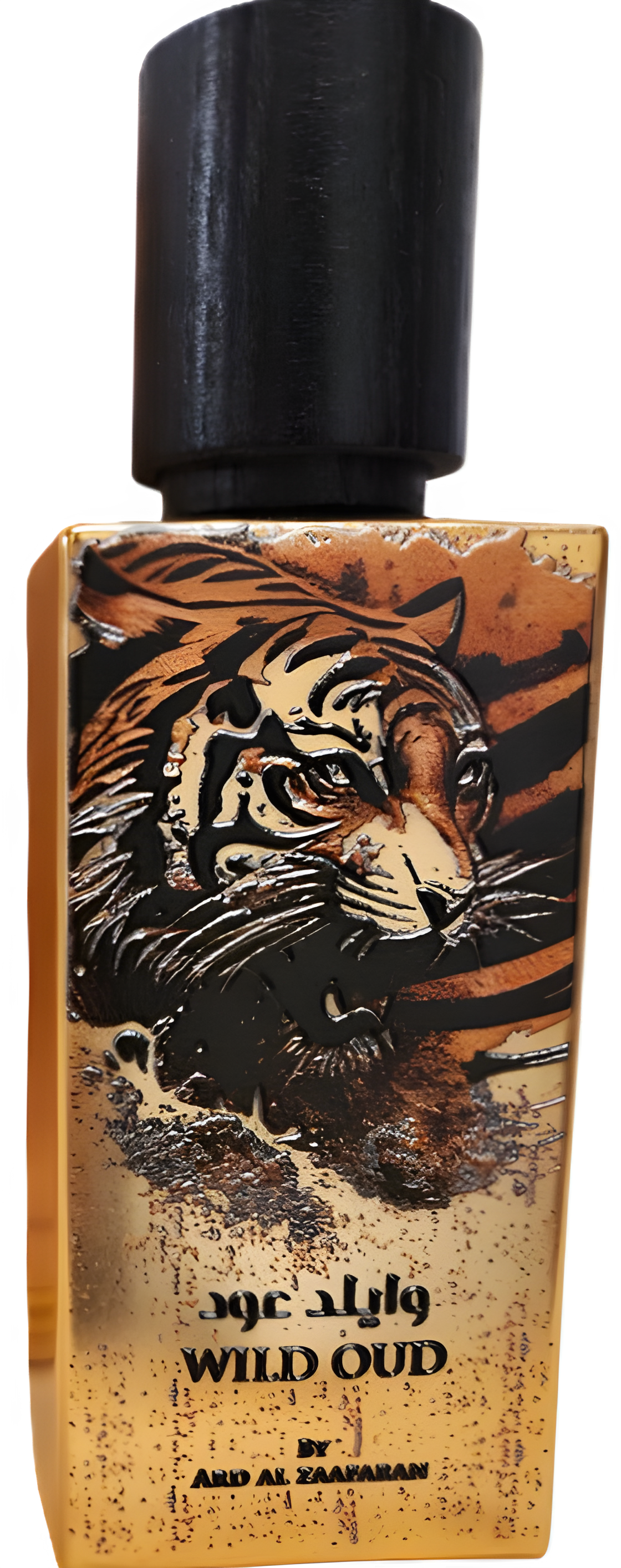 Ard Al Zaafaran Wild Oud Eau de Parfum for Everyone