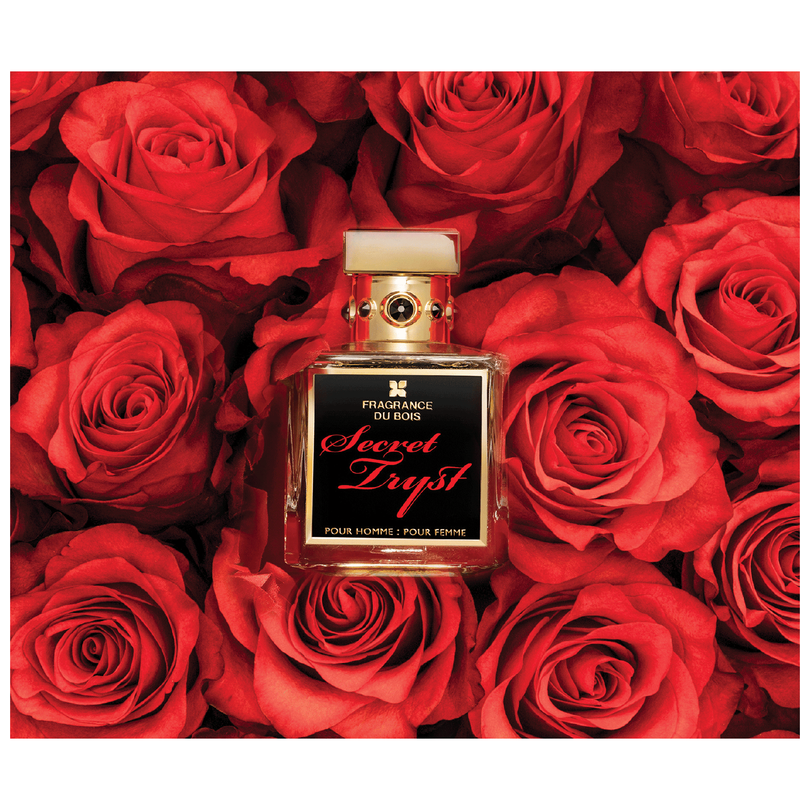 Fragrance Du Bois Secret Tryst Extrait de Parfum for Everyone