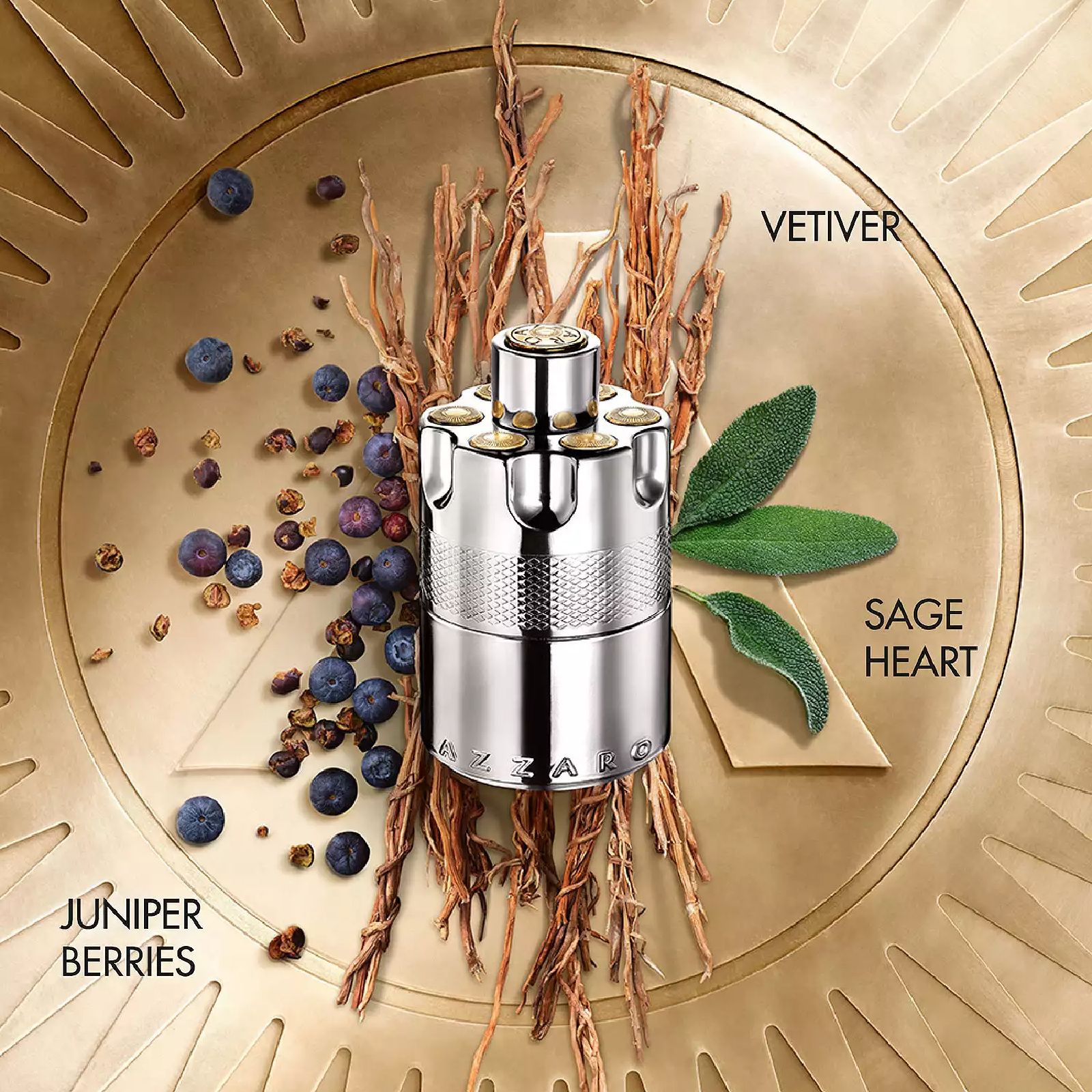 Azzaro Wanted Eau de Parfum for Men