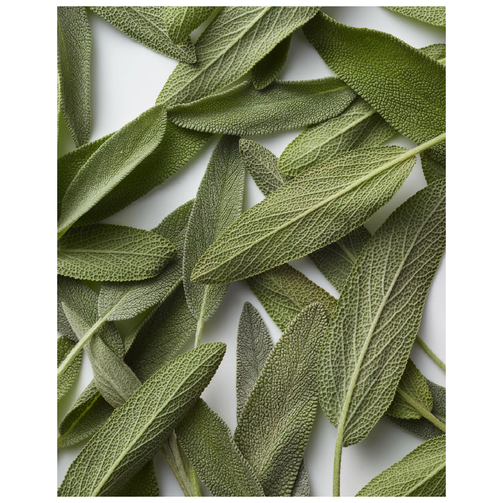 Ralph Lauren Polo Blue for Men