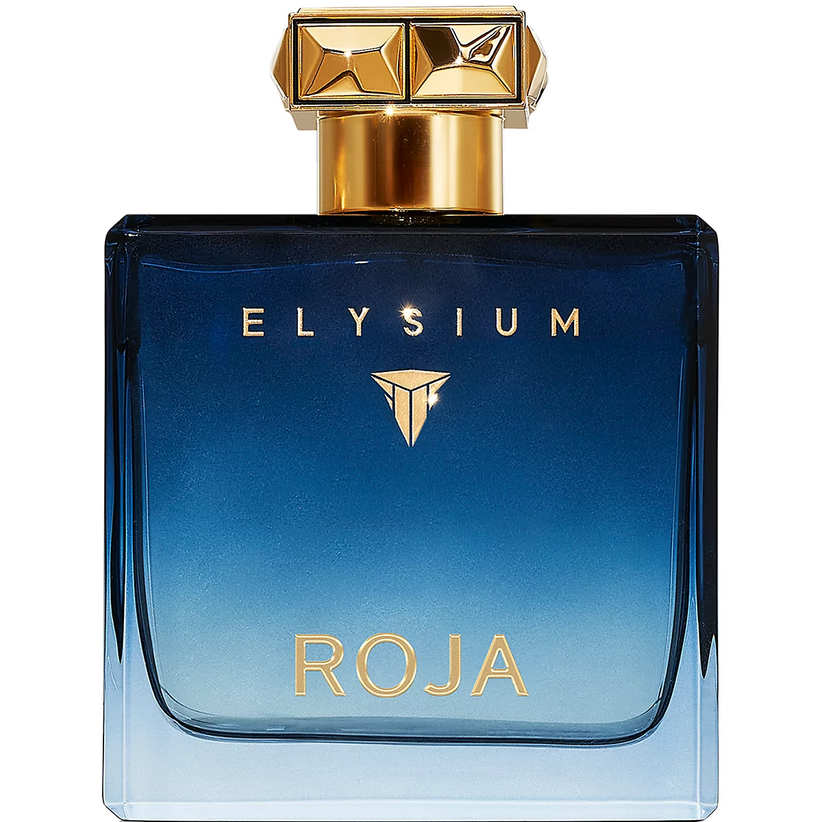 Roja Elysium Eau de Parfum for Men - Fresh & Woody Scent