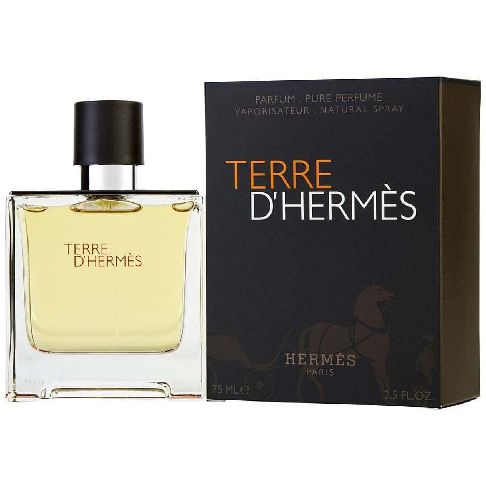 Hermes Terre D'hermes Parfum for Men