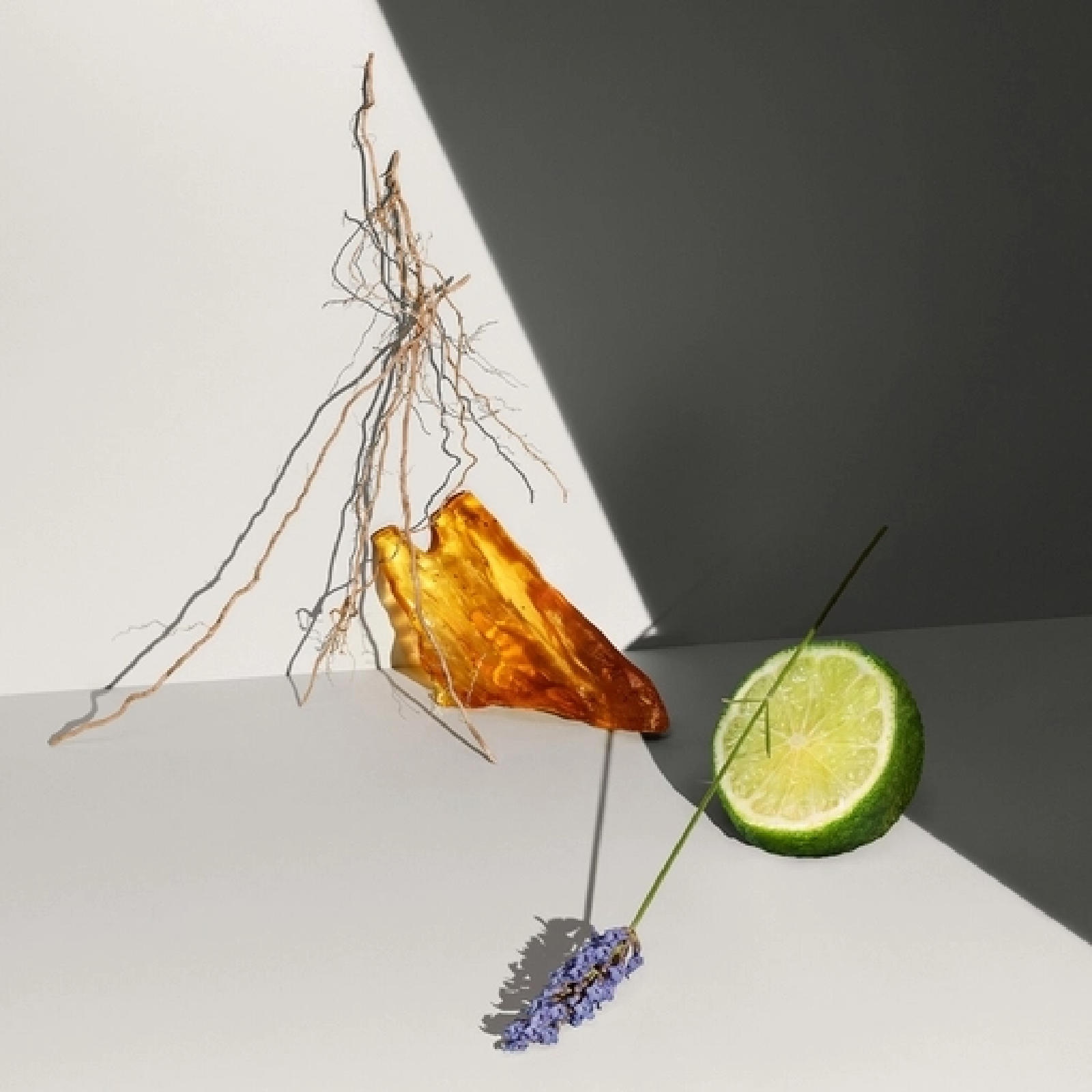 Calvin Klein Defy Deodorant Spray for Men