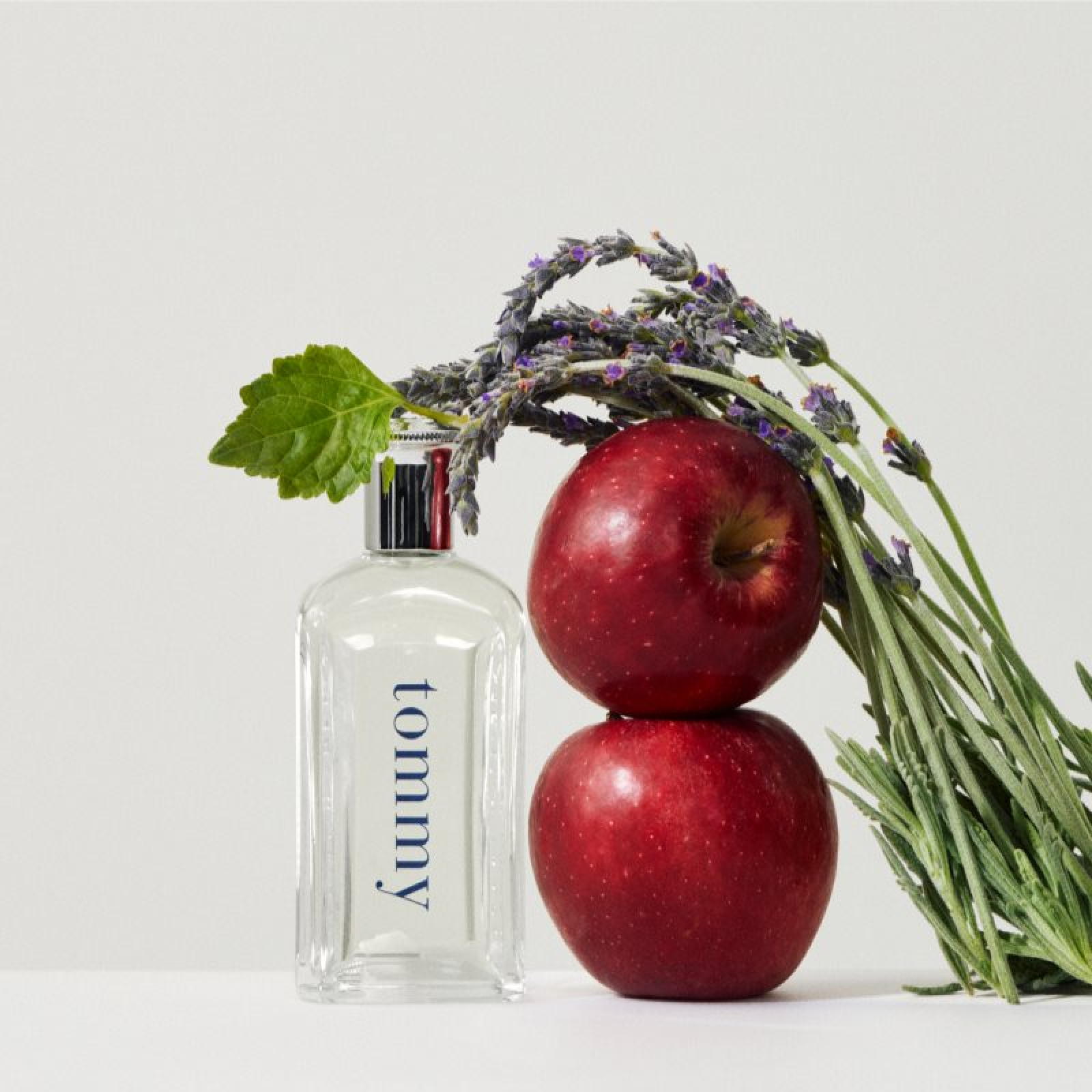 Tommy Hilfiger Tommy Eau de Toilette for Men