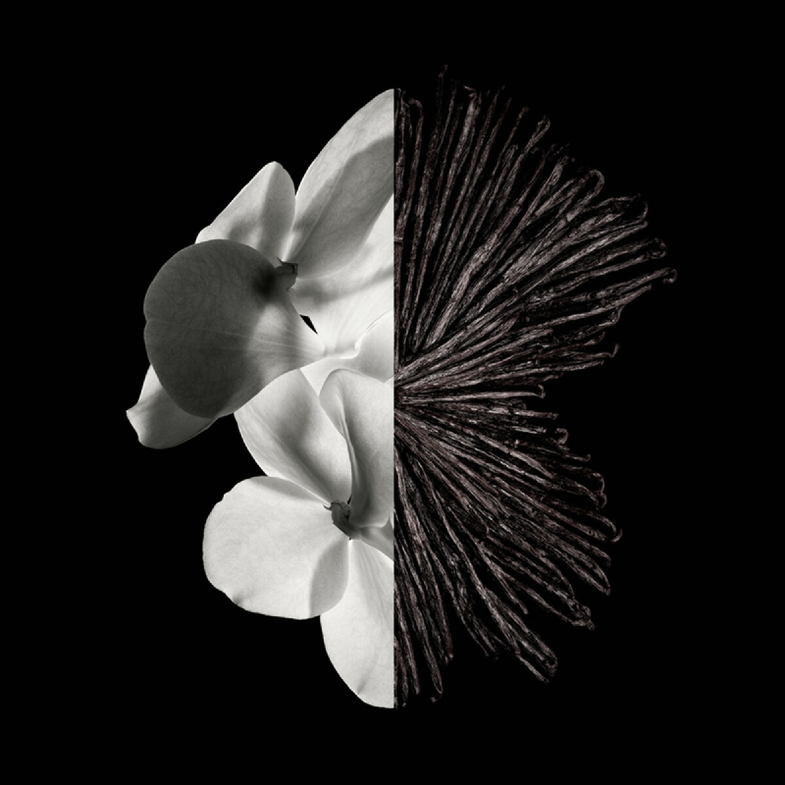 Givenchy Gentleman Eau de Parfum for Men