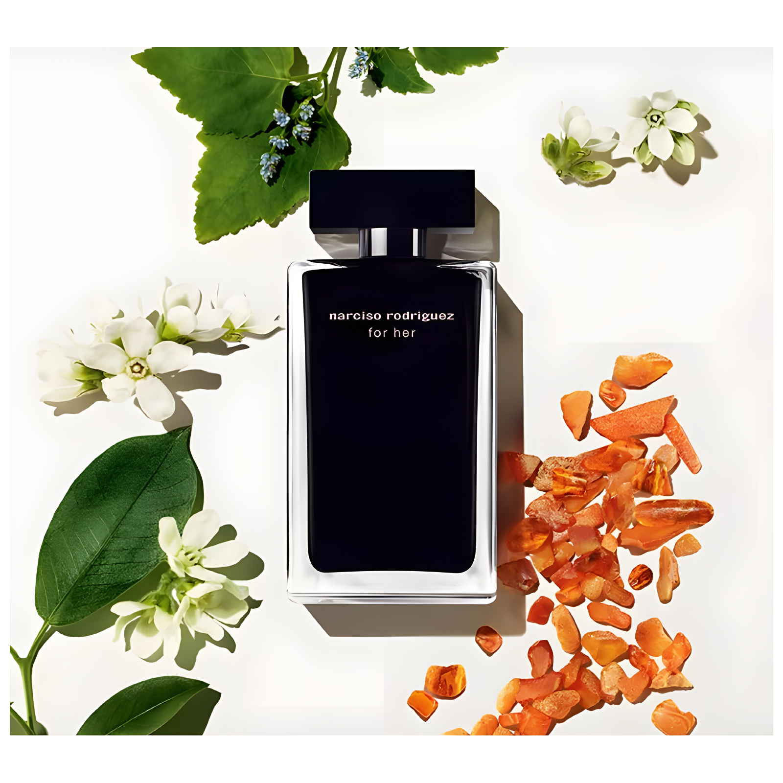 Narciso Rodriguez For Her Eau de Toilette for Women