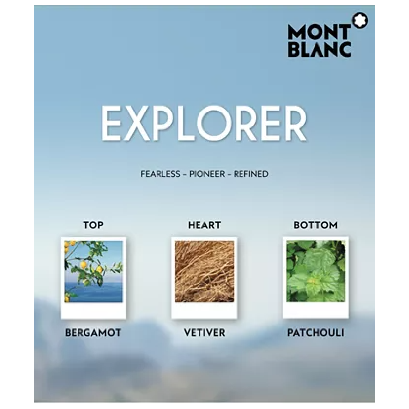Mont Blanc Explorer Deodorant Stick for Men