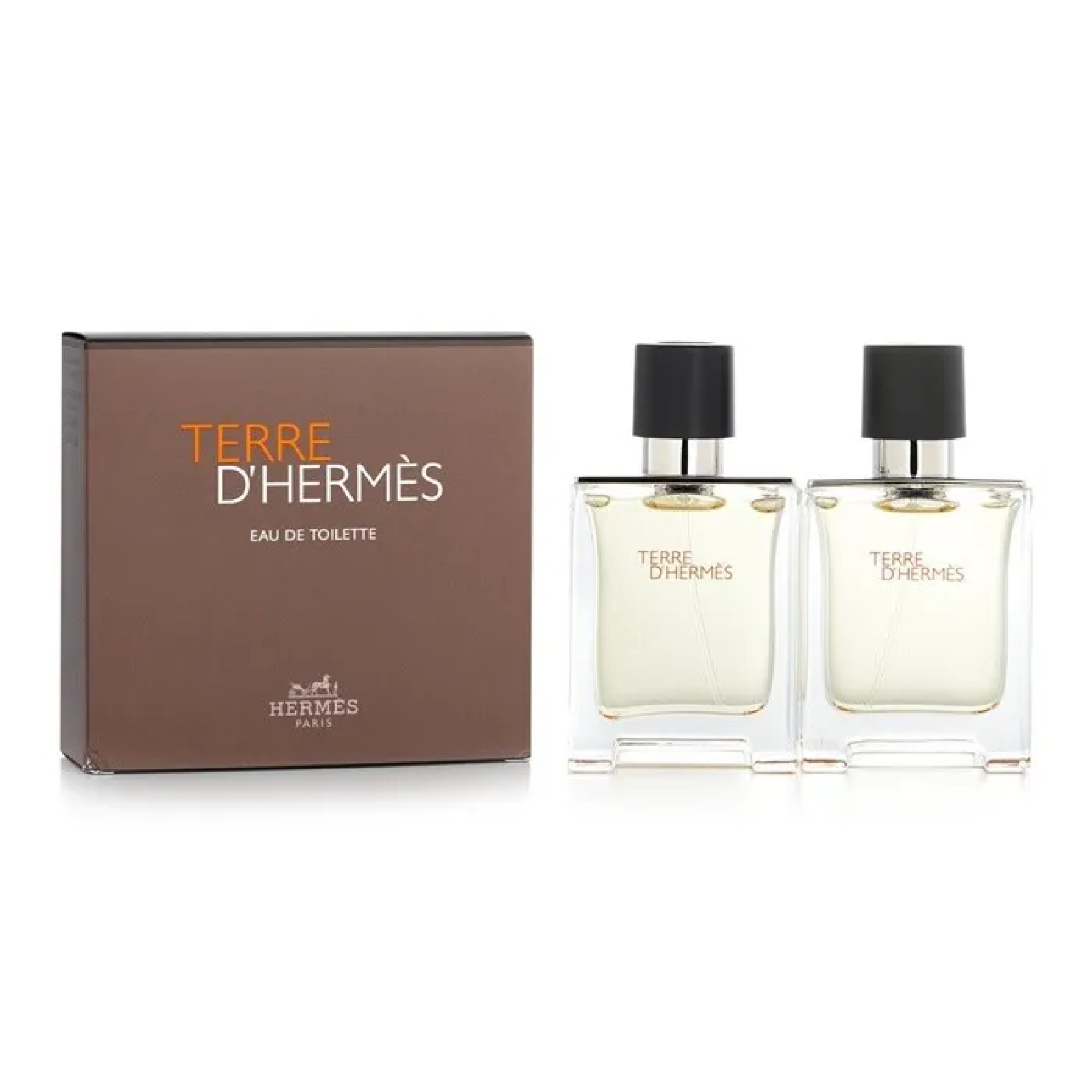 Hermes Terre D'hermes Gift Set for Men