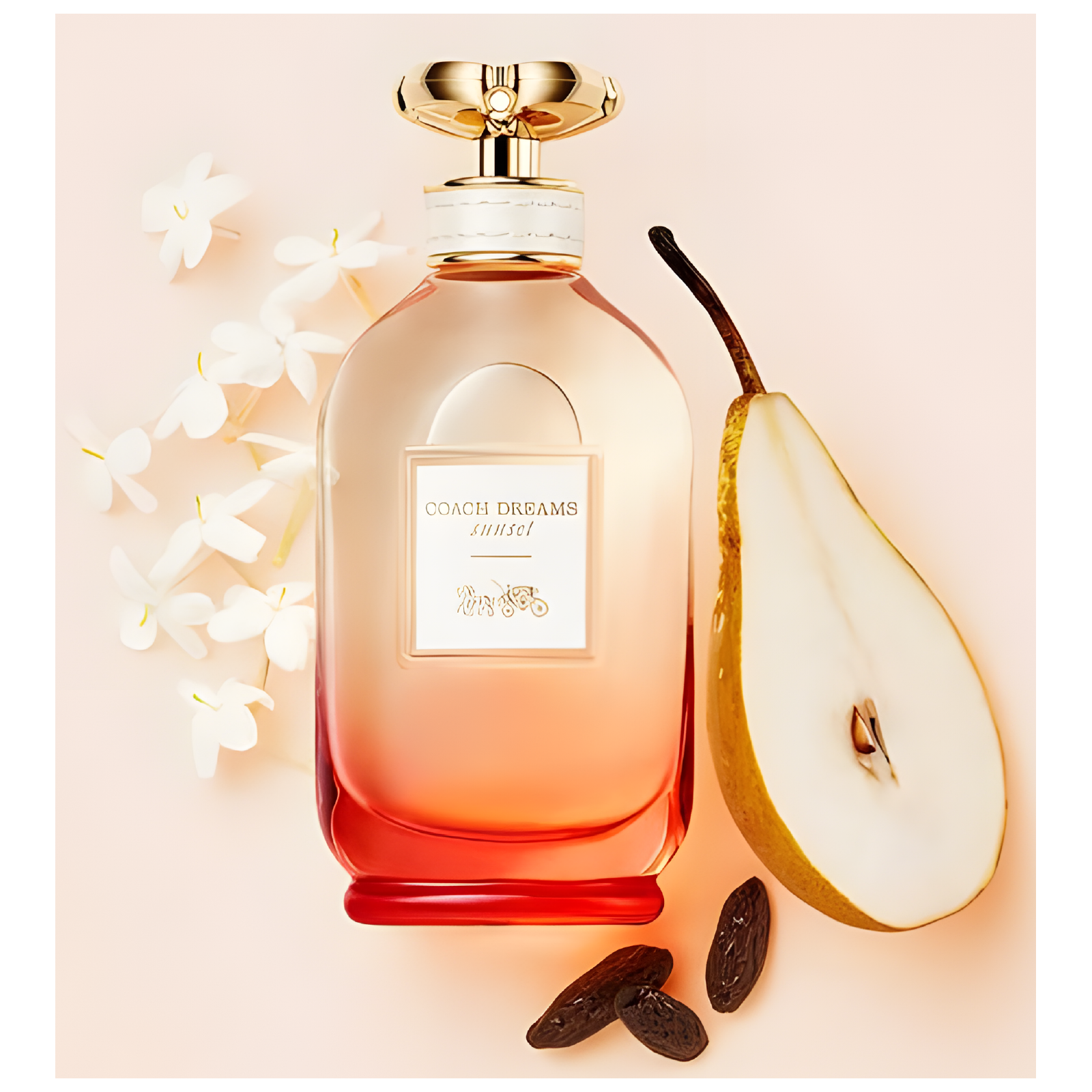 Coach Dreams Sunset Eau de Parfum for Women