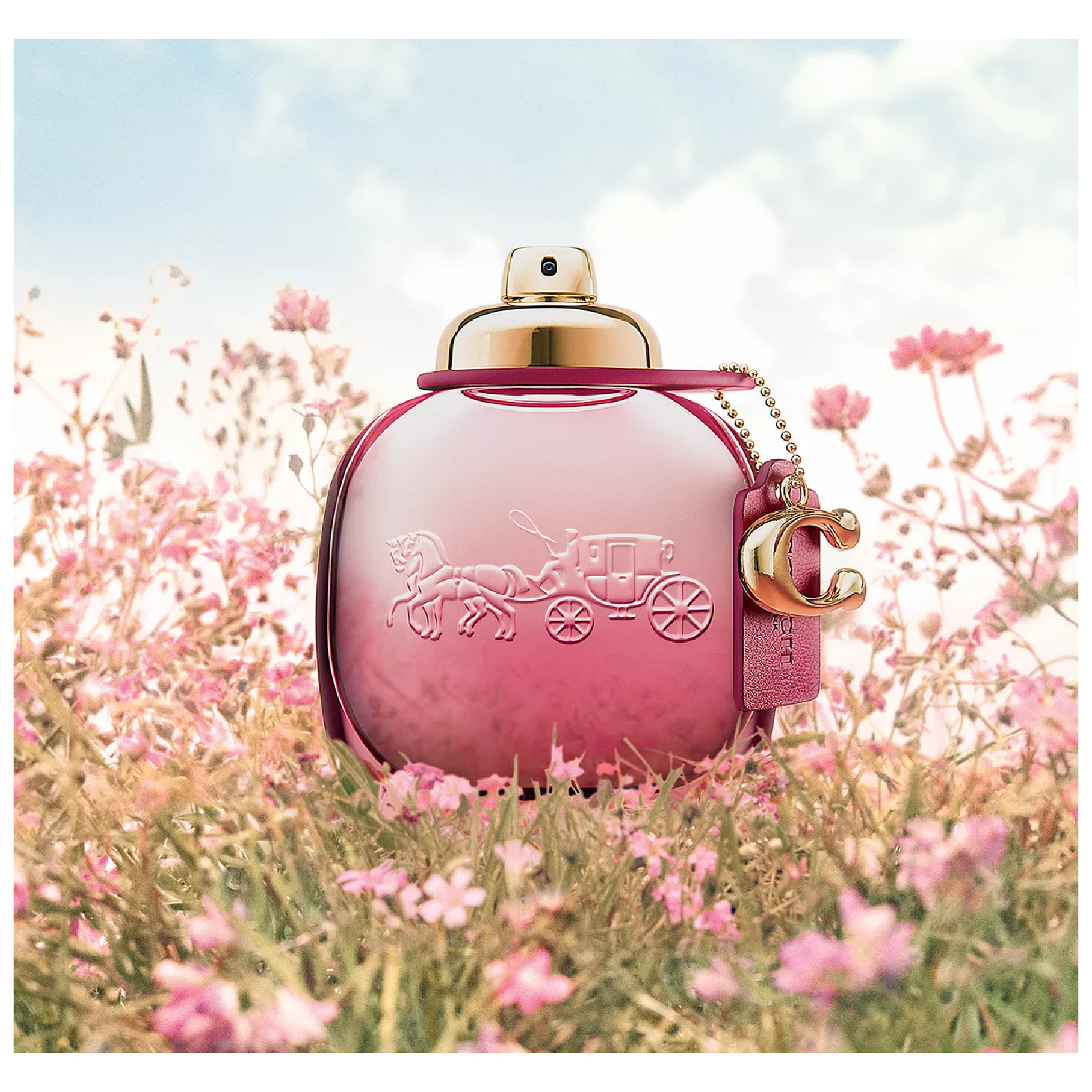 Coach Wild Rose Eau de Parfum for Women