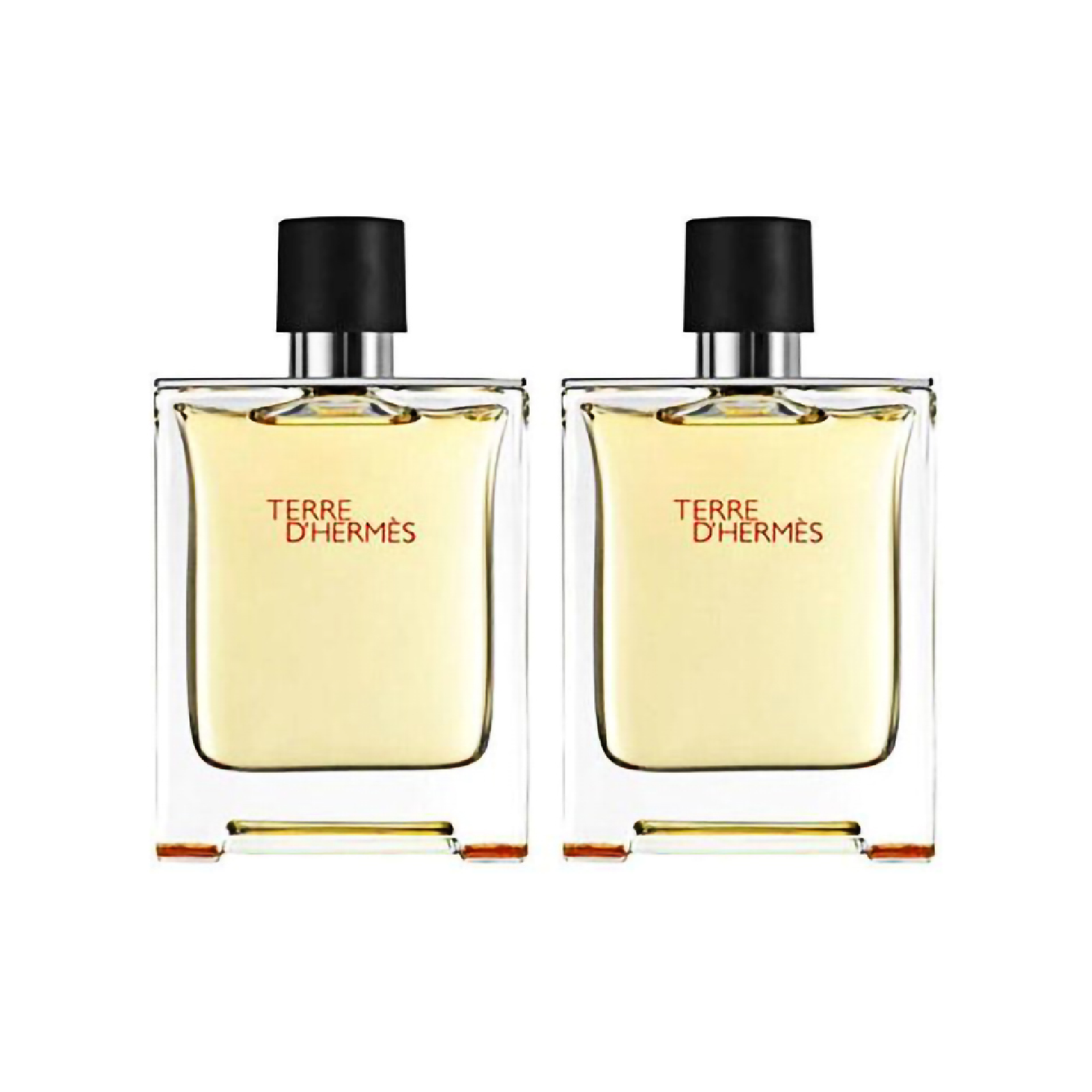 Hermes Terre D'hermes Gift Set for Men