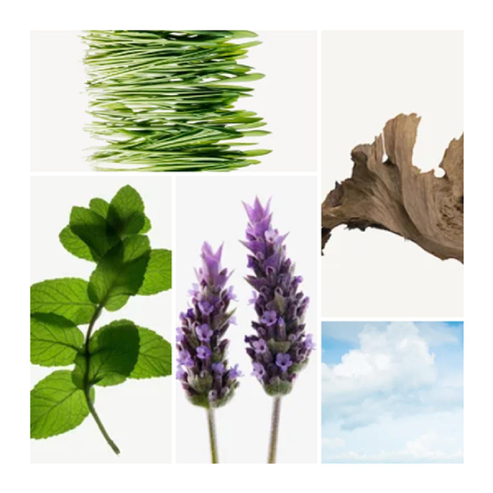 Gap G7 Bold Eau de Toilette for Men