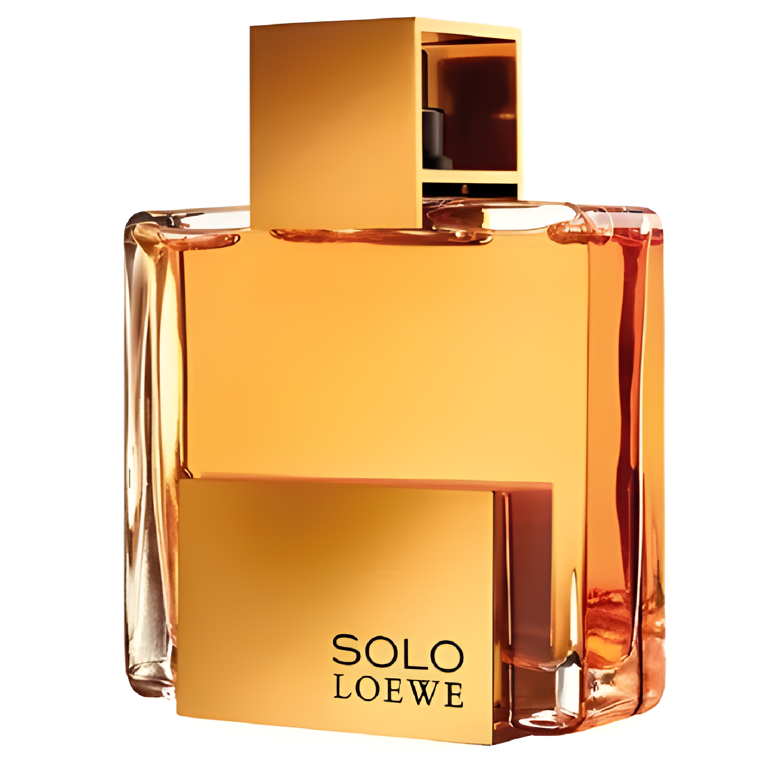 Loewe Solo Absoluto Eau de Toilette for Men