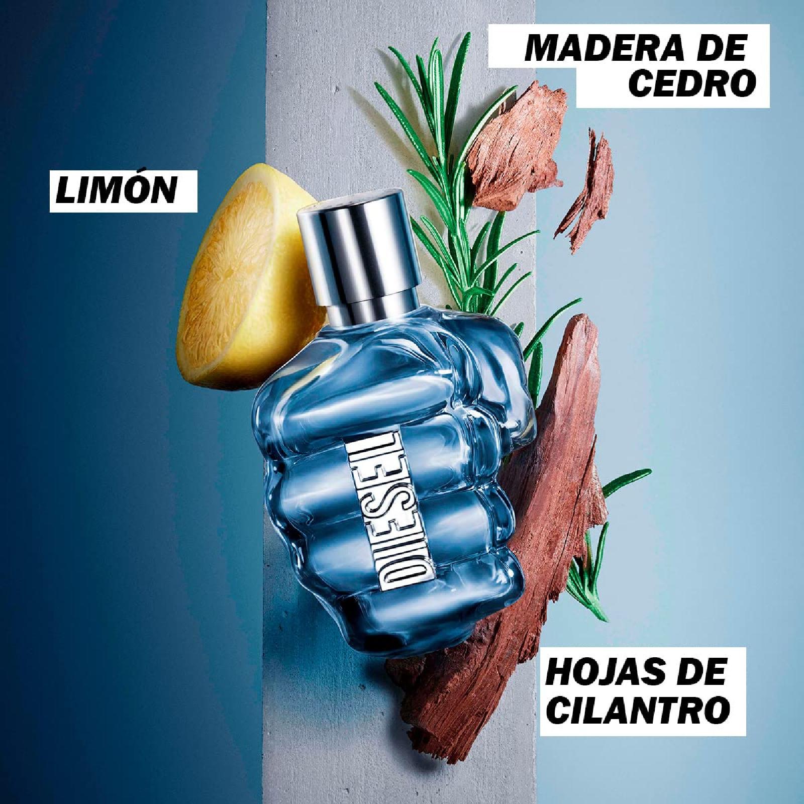 Diesel Only The Brave Eau de Toilette for Men