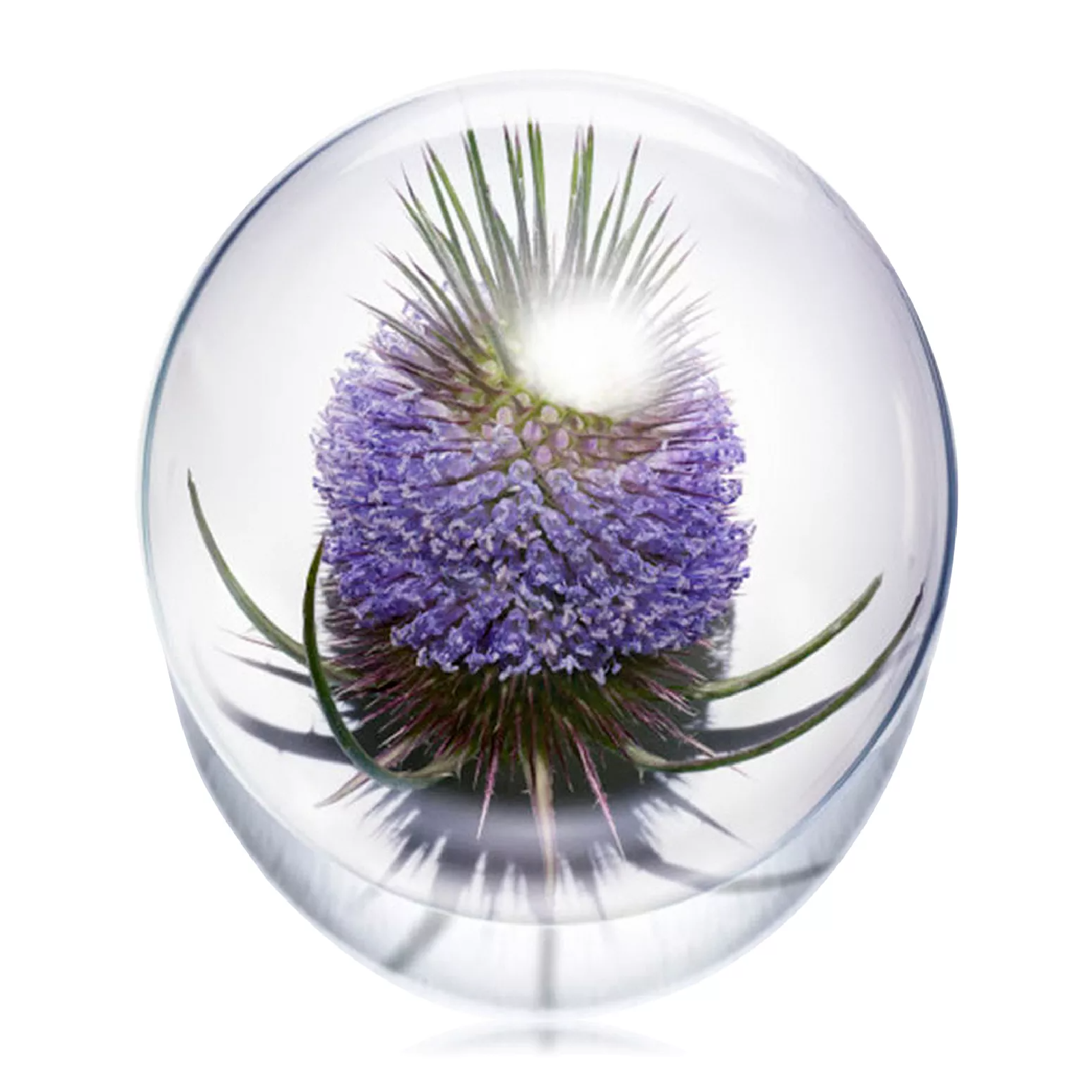 Clarins Multi-Active Night Cream for Women