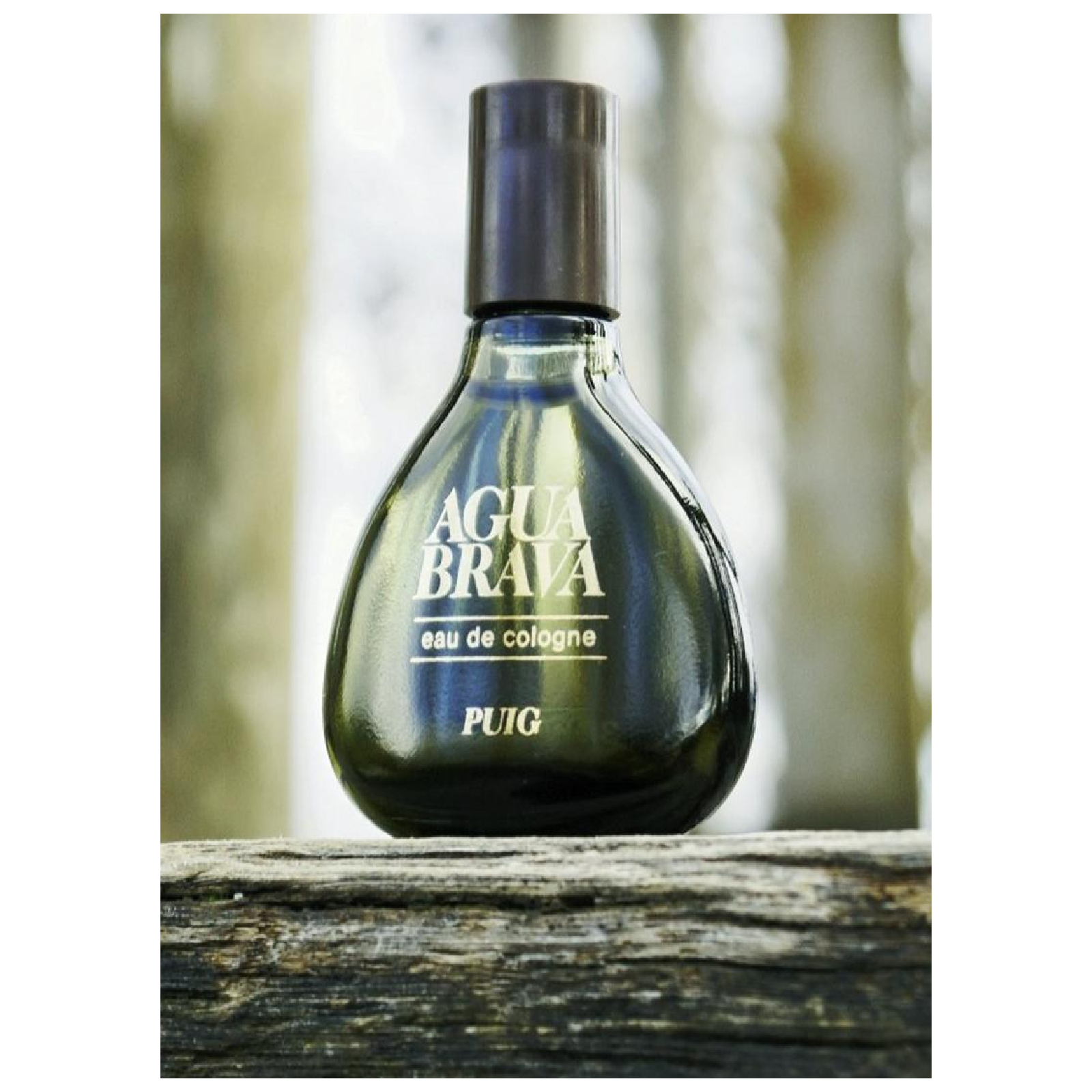 Antonio Puig Agua Brava Eau de Cologne for Men