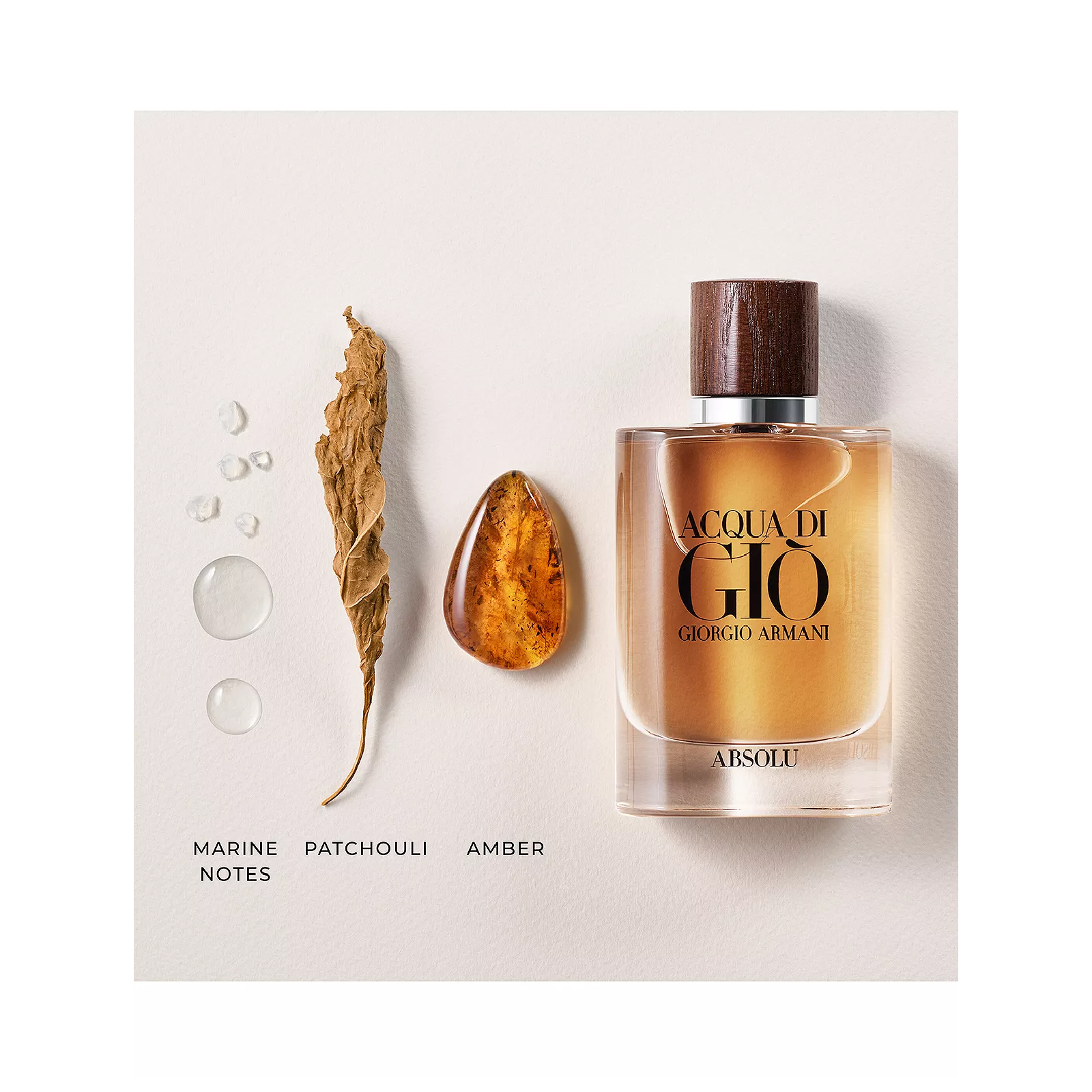 Giorgio Armani Acqua Di Gio Absolu Eau de Parfum for Men