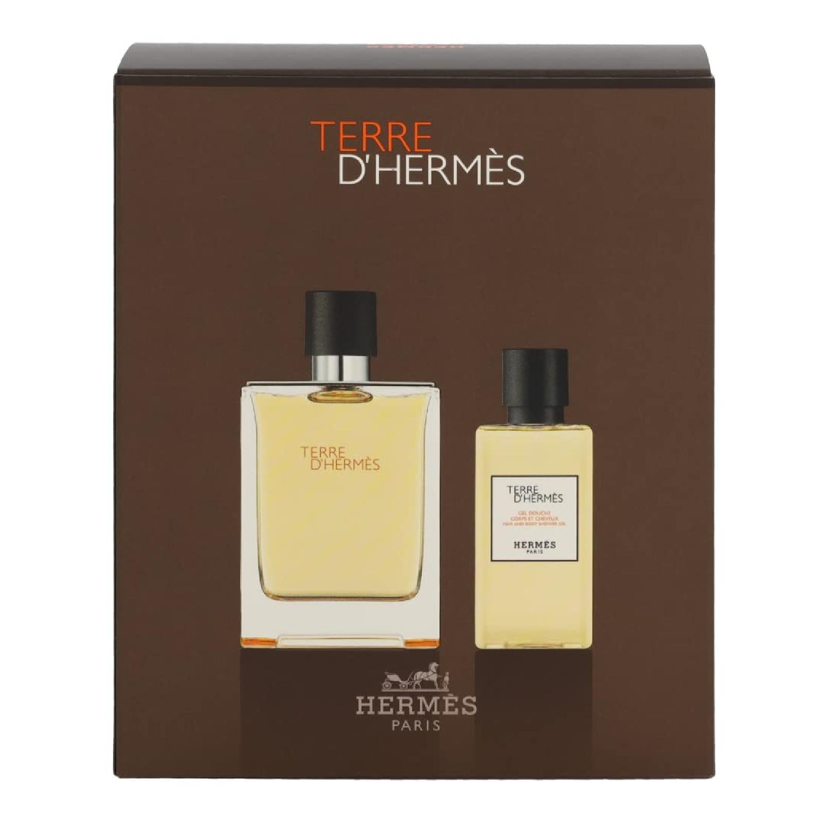Hermes Terre D'hermes Gift Set for Men