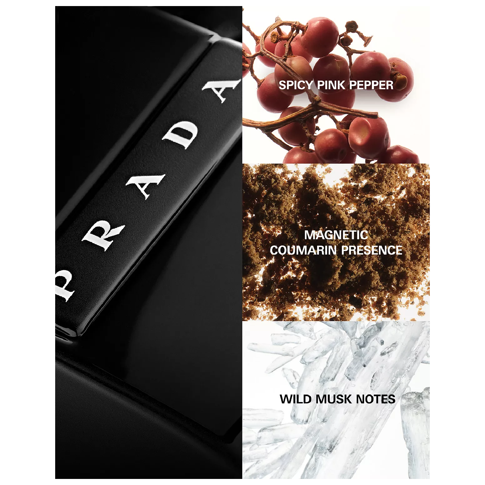 Prada Luna Rossa Black Eau de Parfum for Men