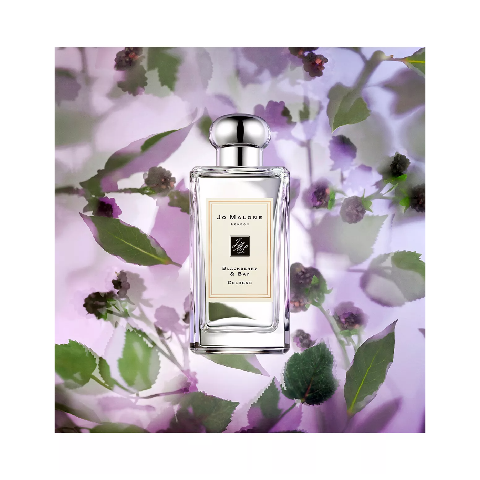 Jo Malone Blackberry & Bay Cologne Eau de Cologne for Women