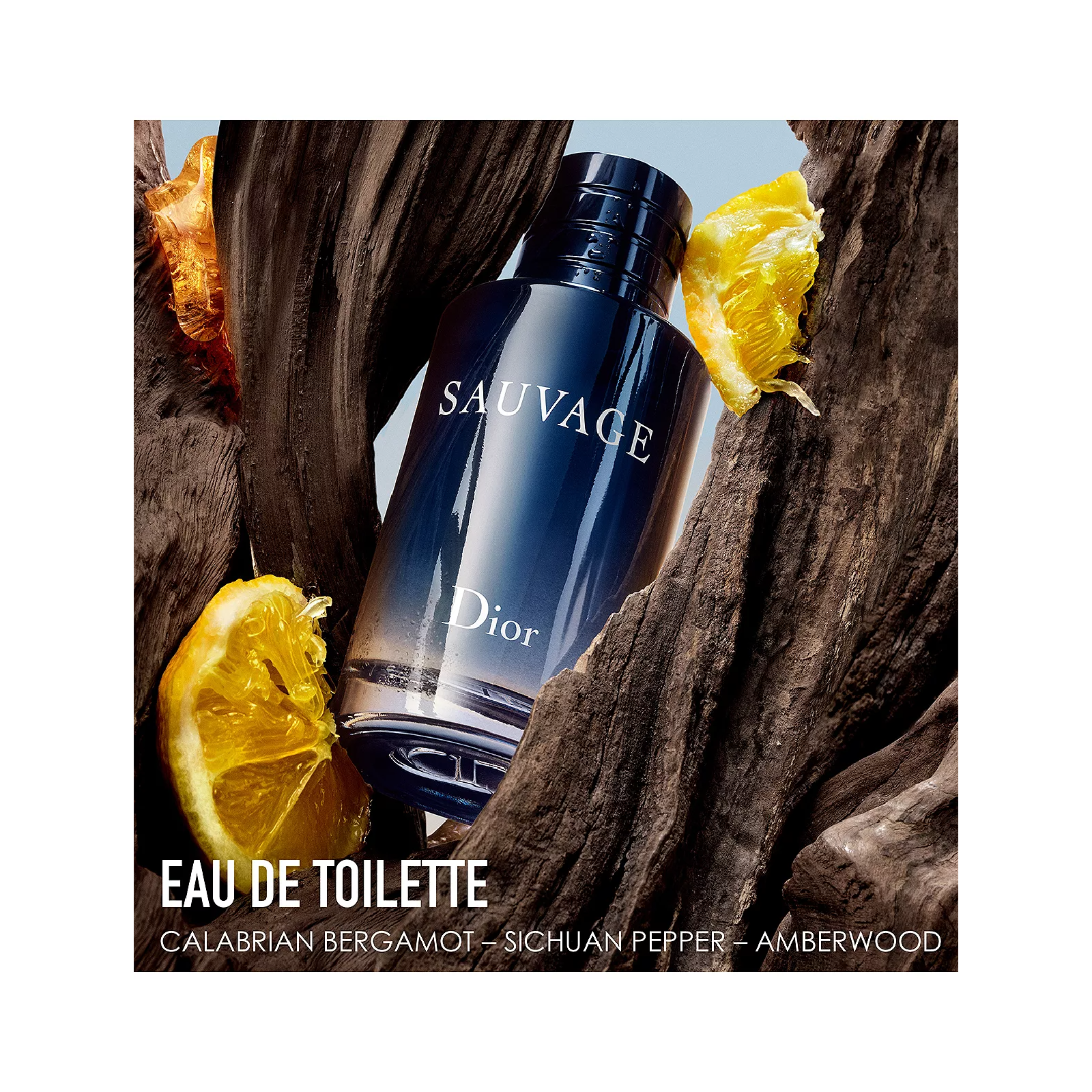 Dior Sauvage Eau de Toilette for Men