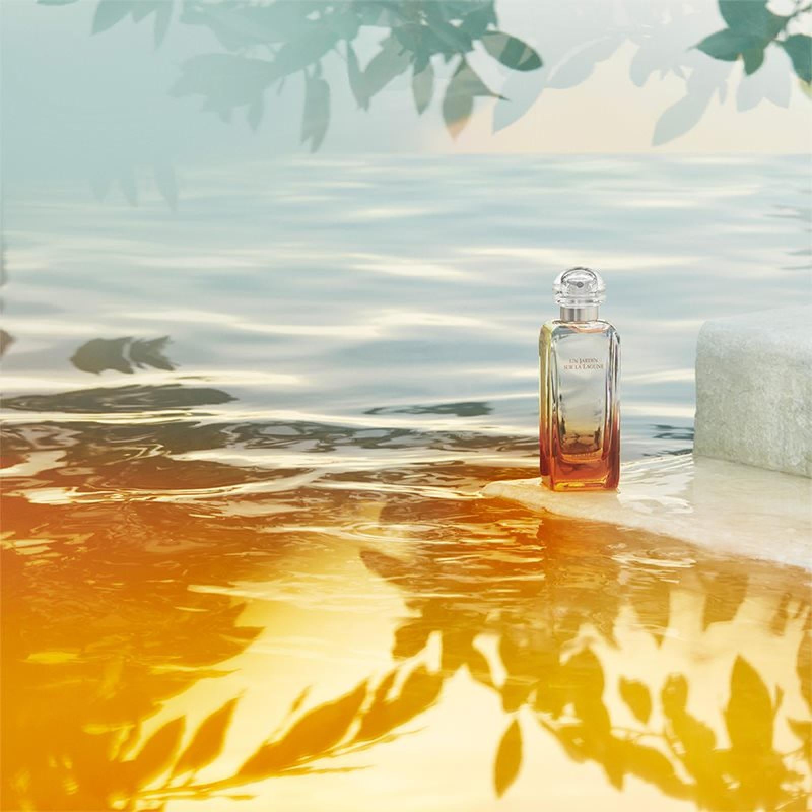 Hermes Un Jardin Sur La Lagune Eau de Toilette for Everyone