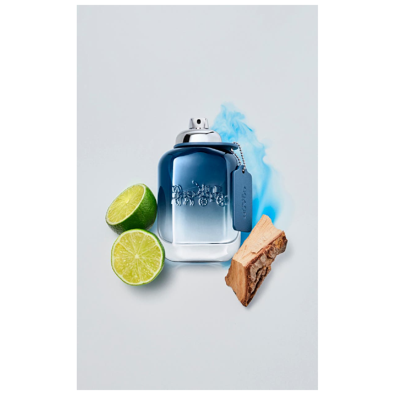 Coach Blue Eau de Toilette for Men