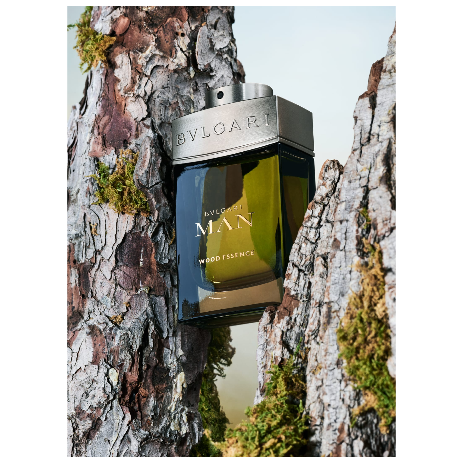 Bvlgari Wood Essence Eau de Parfum for Men