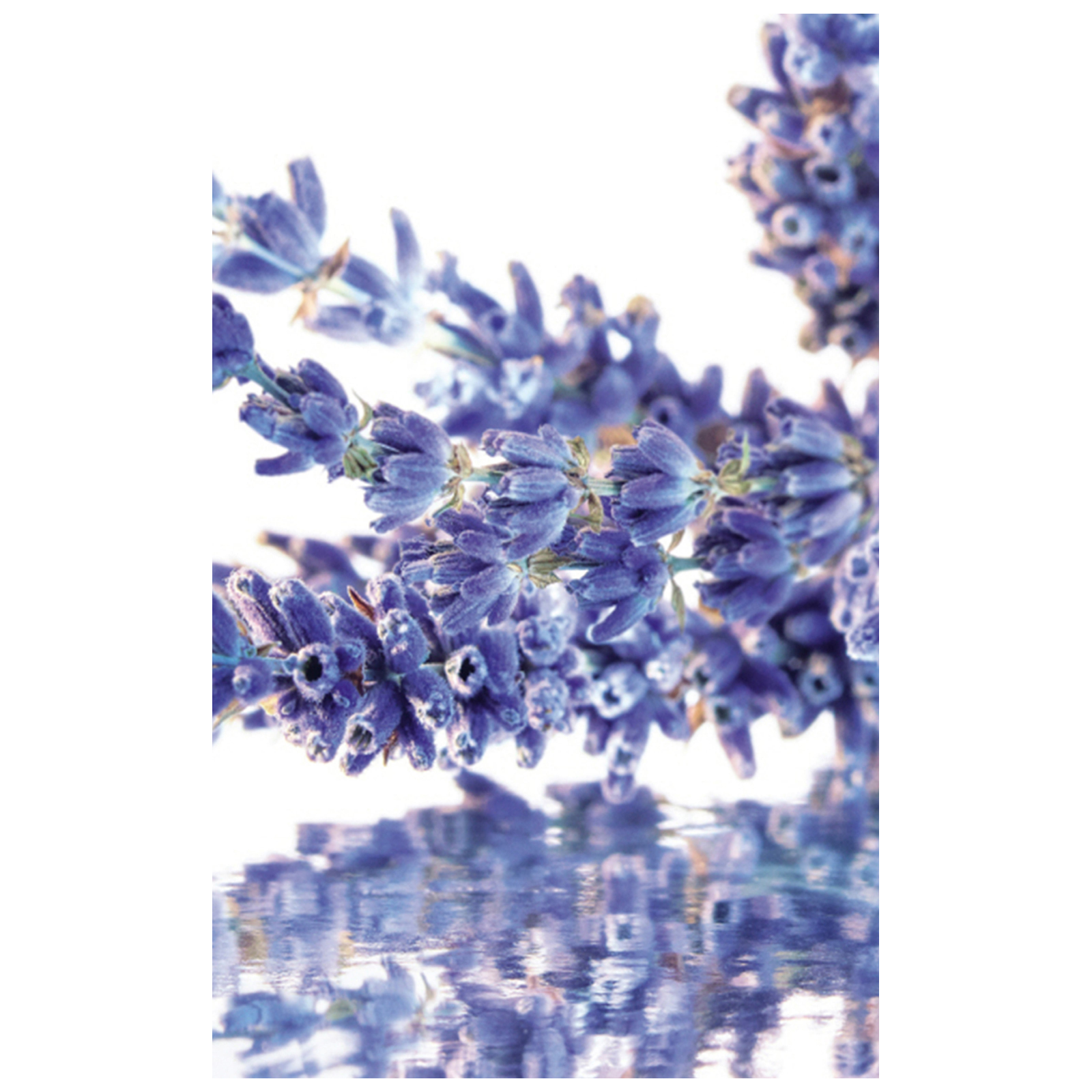 Guerlain Mon Eau de Parfum for Women