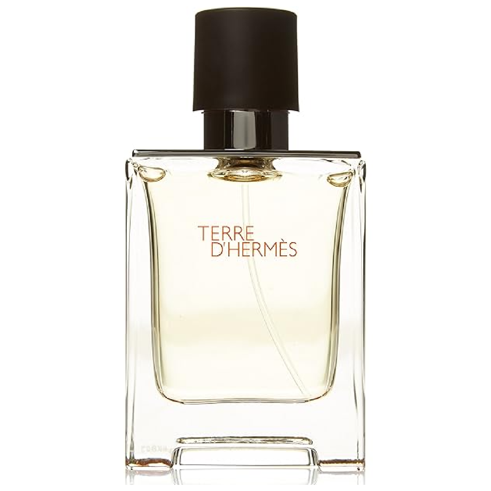Hermes Terre D'hermes Eau de Toilette for Men