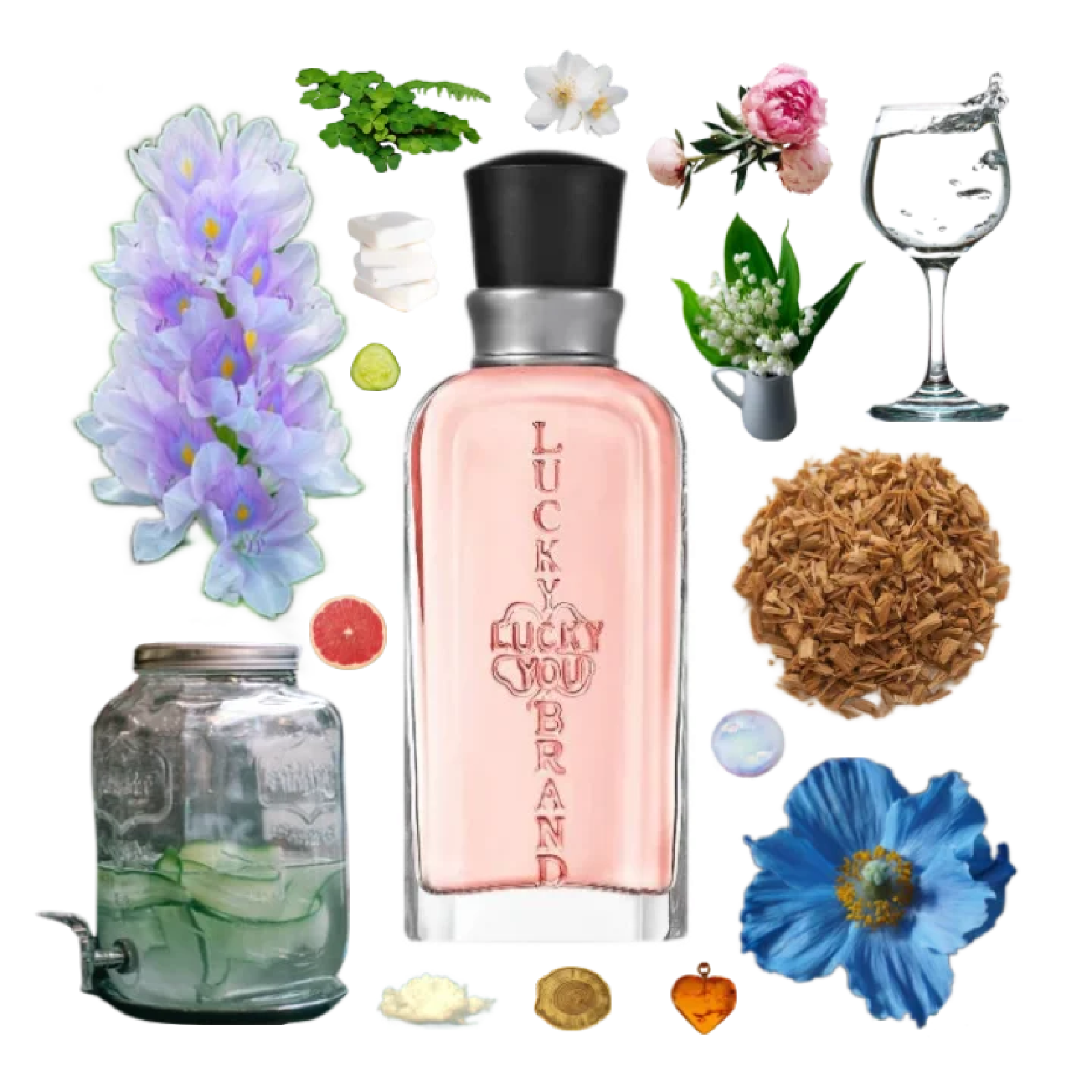 Liz Claiborne Lucky You Cologne for Women