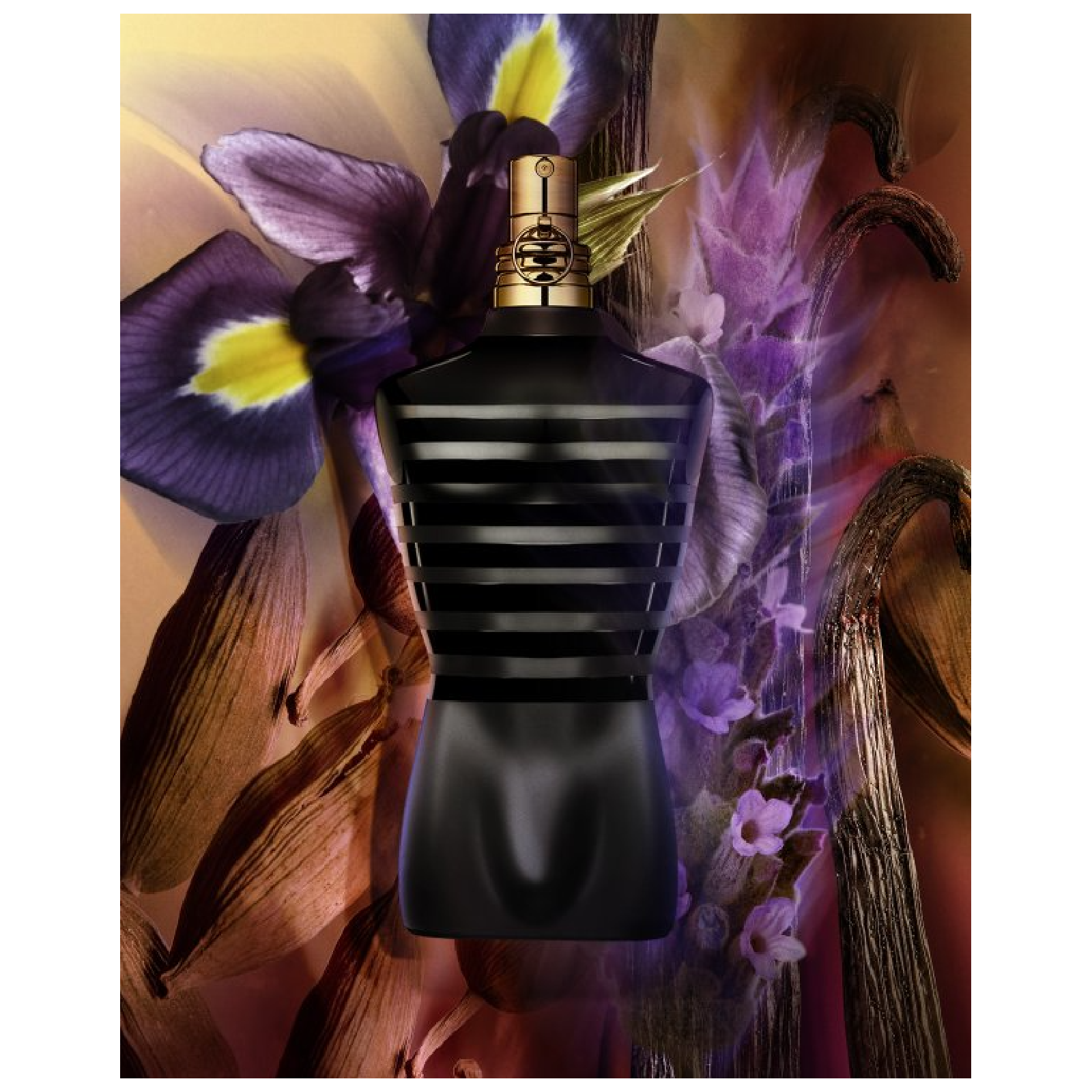 Jean Paul Gaultier Le Male Le Parfum Intense Eau de Parfum for Men