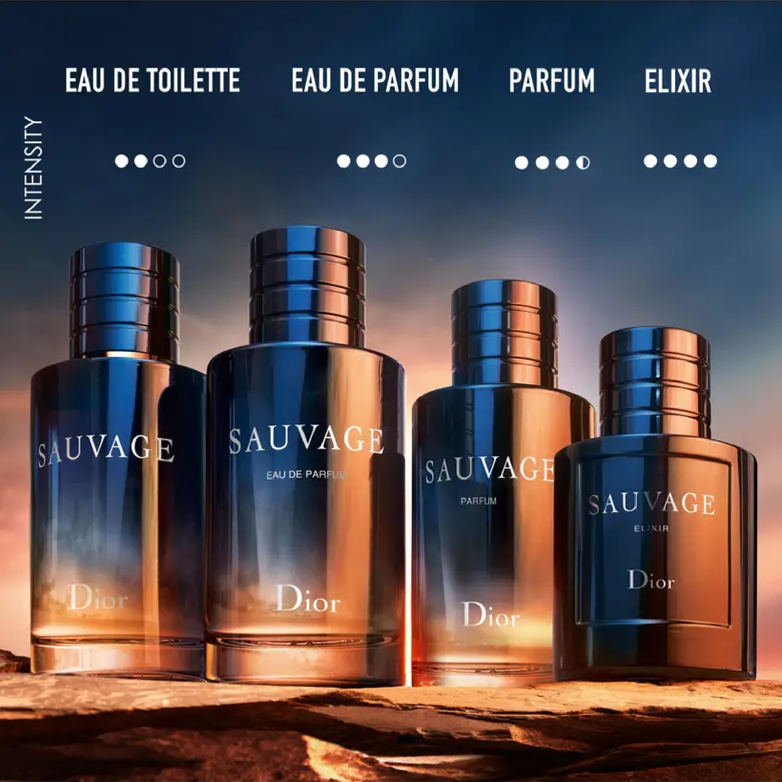 Dior Sauvage Eau de Parfum for Men