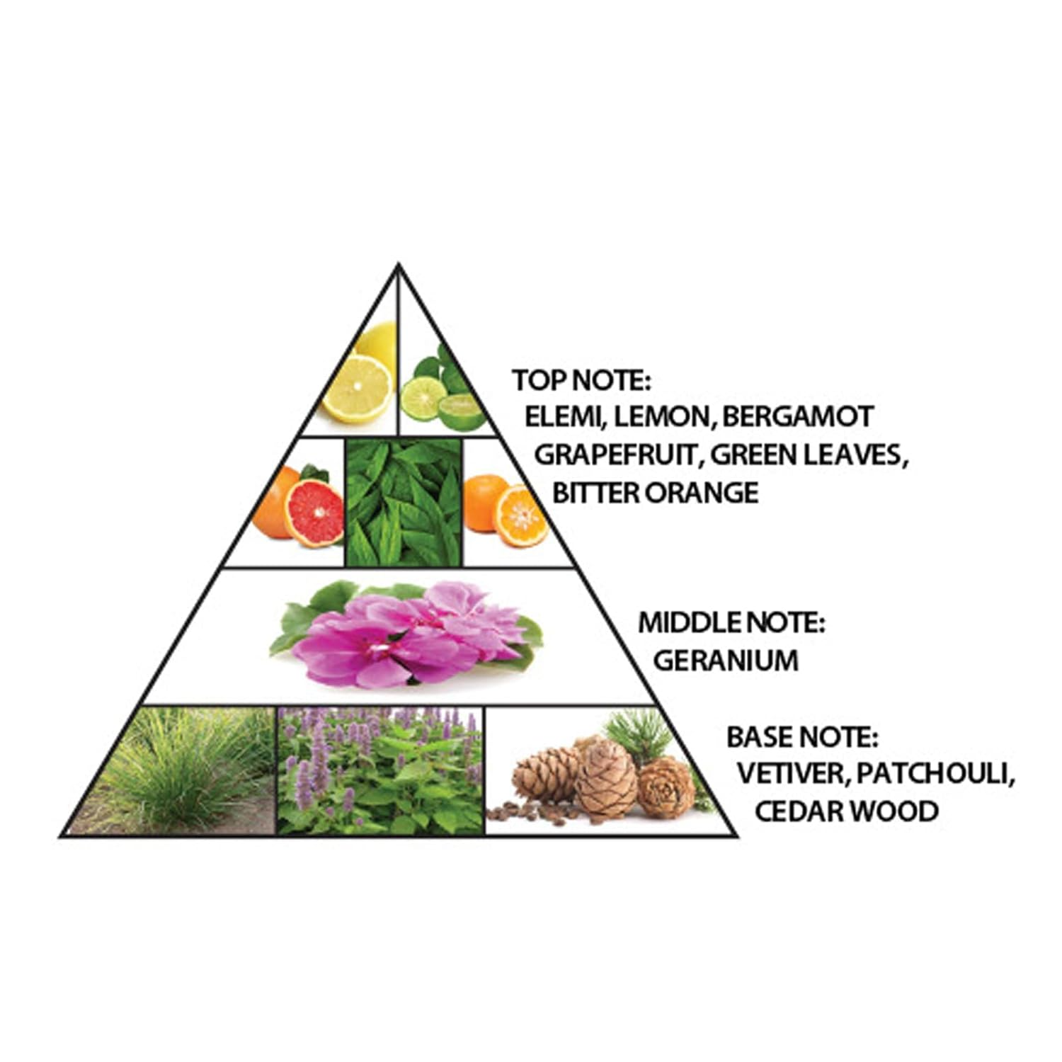 Al Haramain Signature Blue Eau de Parfum for Everyone