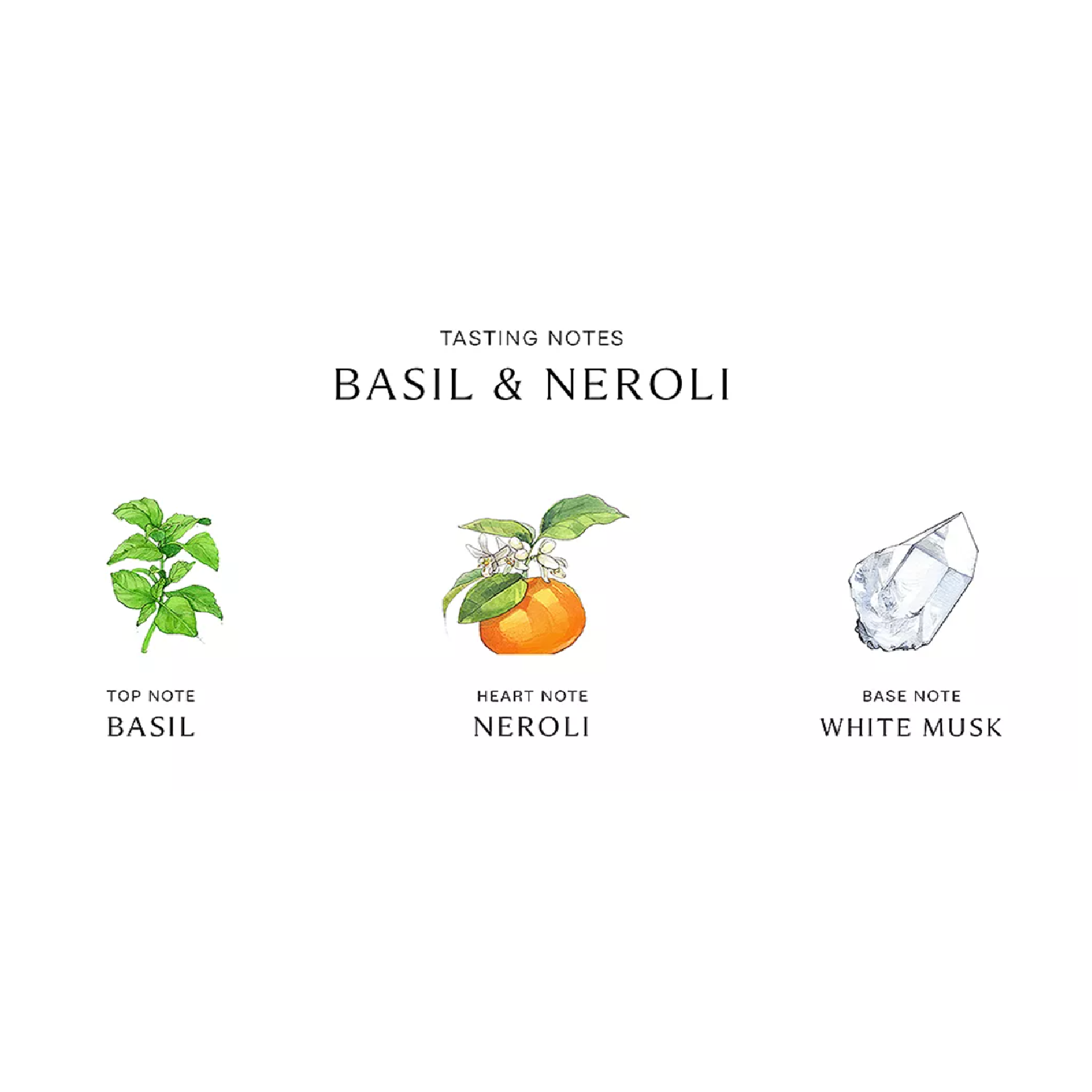 Jo Malone Michael Eau de Cologne for Women