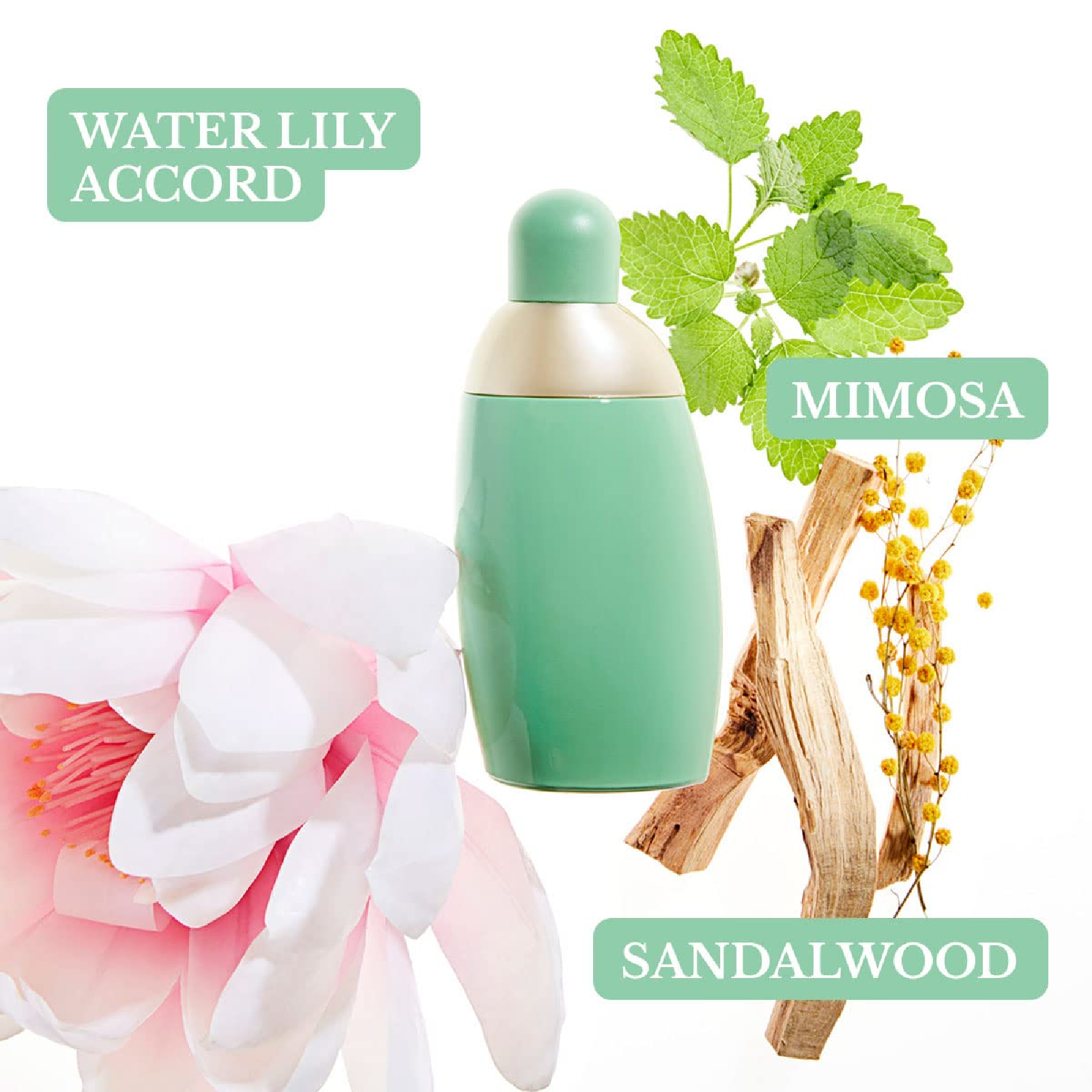 Cacharel Eden Eau de Parfum for Women