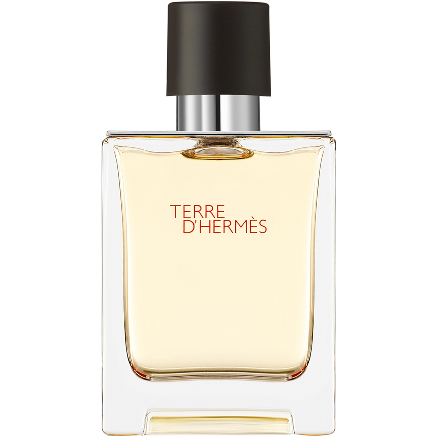 Hermes Terre D'Hermes Eau de Toilette for Men - Authentic Hermes Terre D'Hermes Eau de Toilette for Men - Authentic